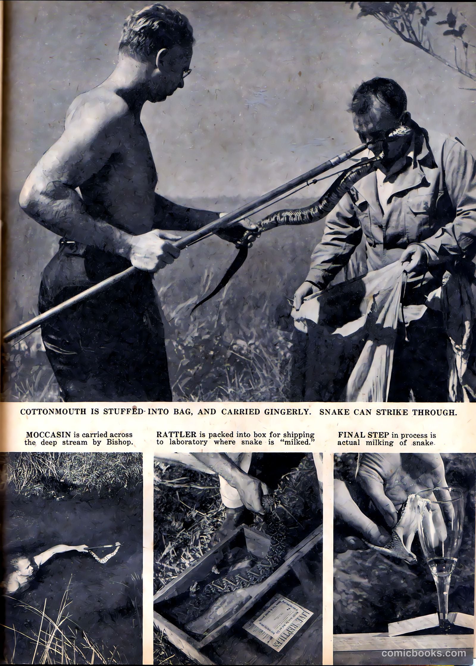 Camera Comics #3 (1944) — page 33