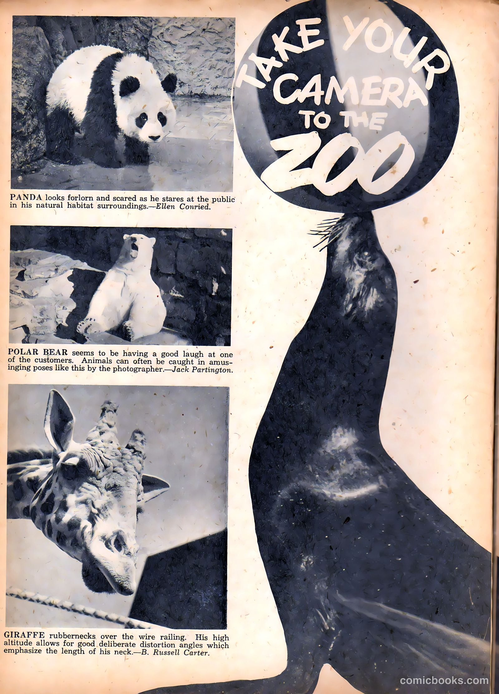 Camera Comics #4 (1945) — page 22