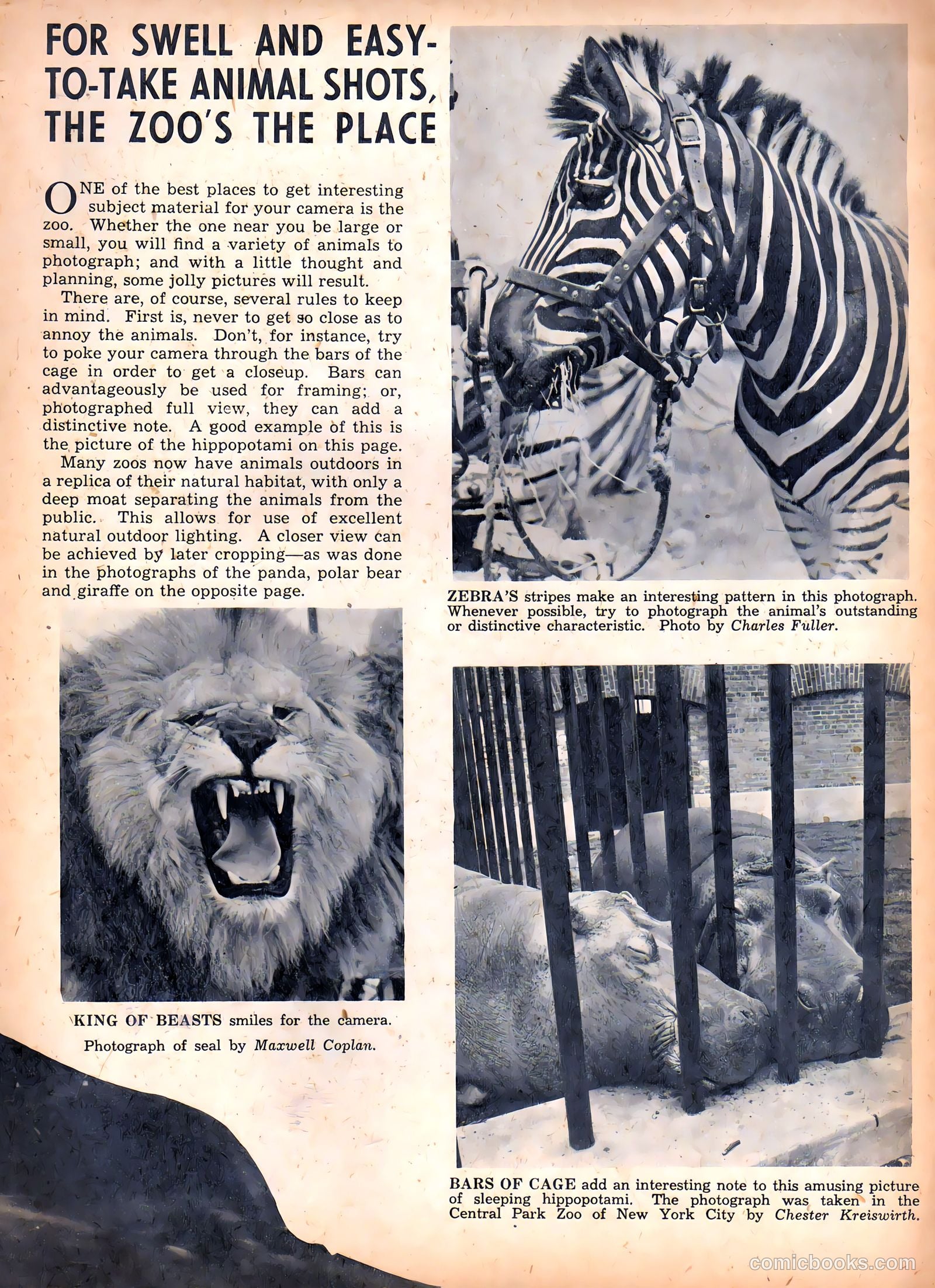 Camera Comics #4 (1945) — page 23
