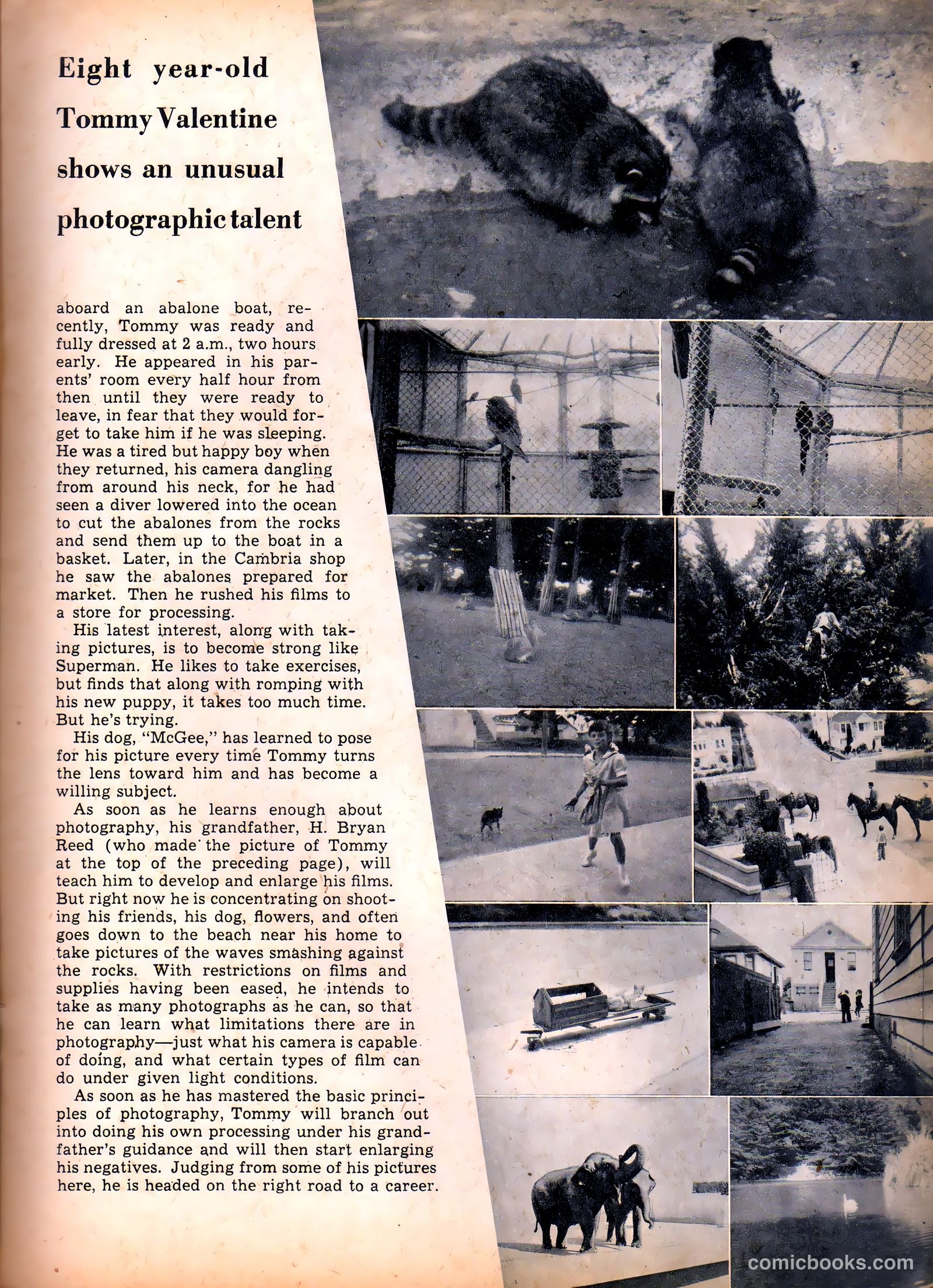 Camera Comics #6 (1945) — page 25
