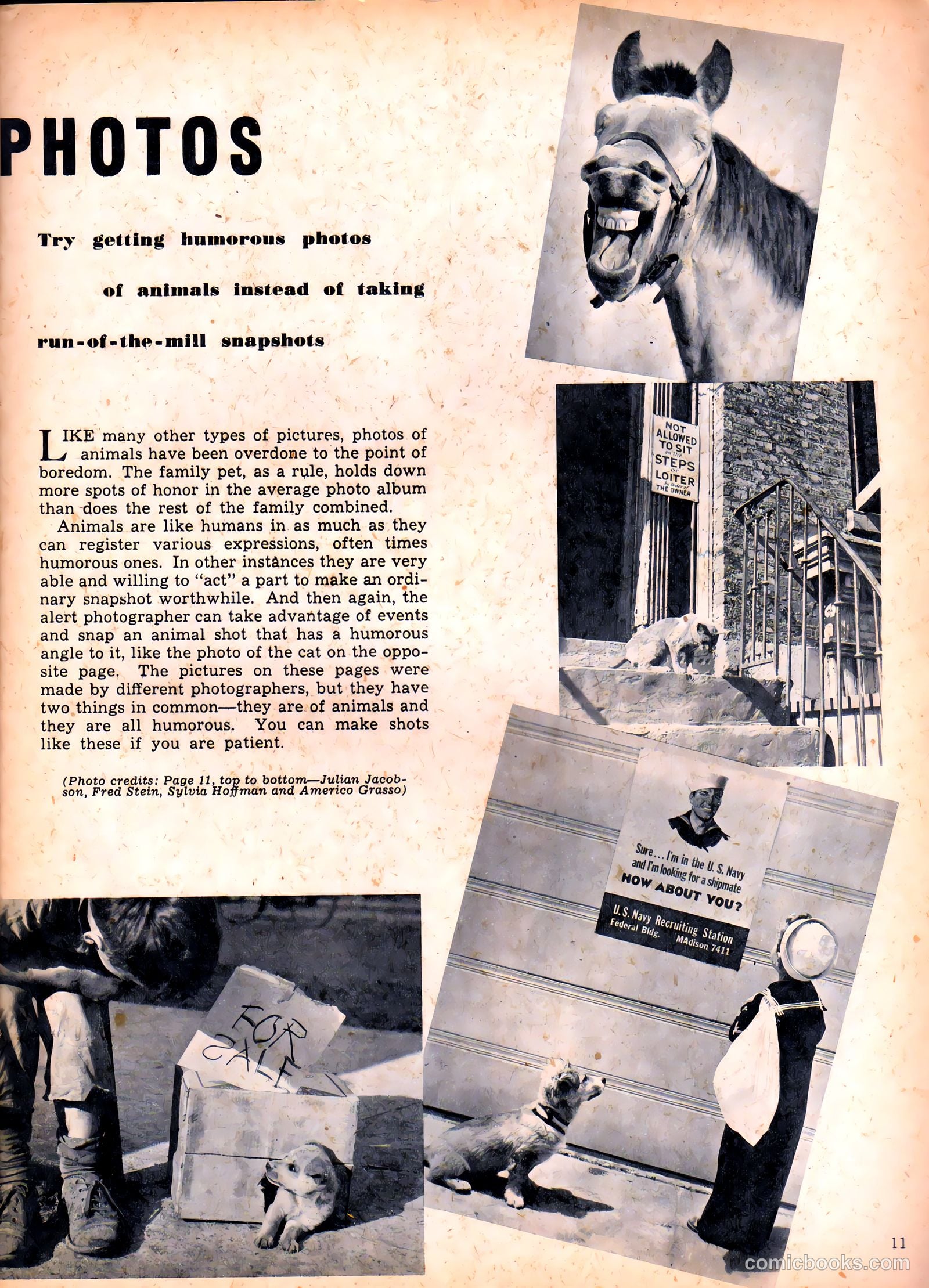Camera Comics #6 (1945) — page 29