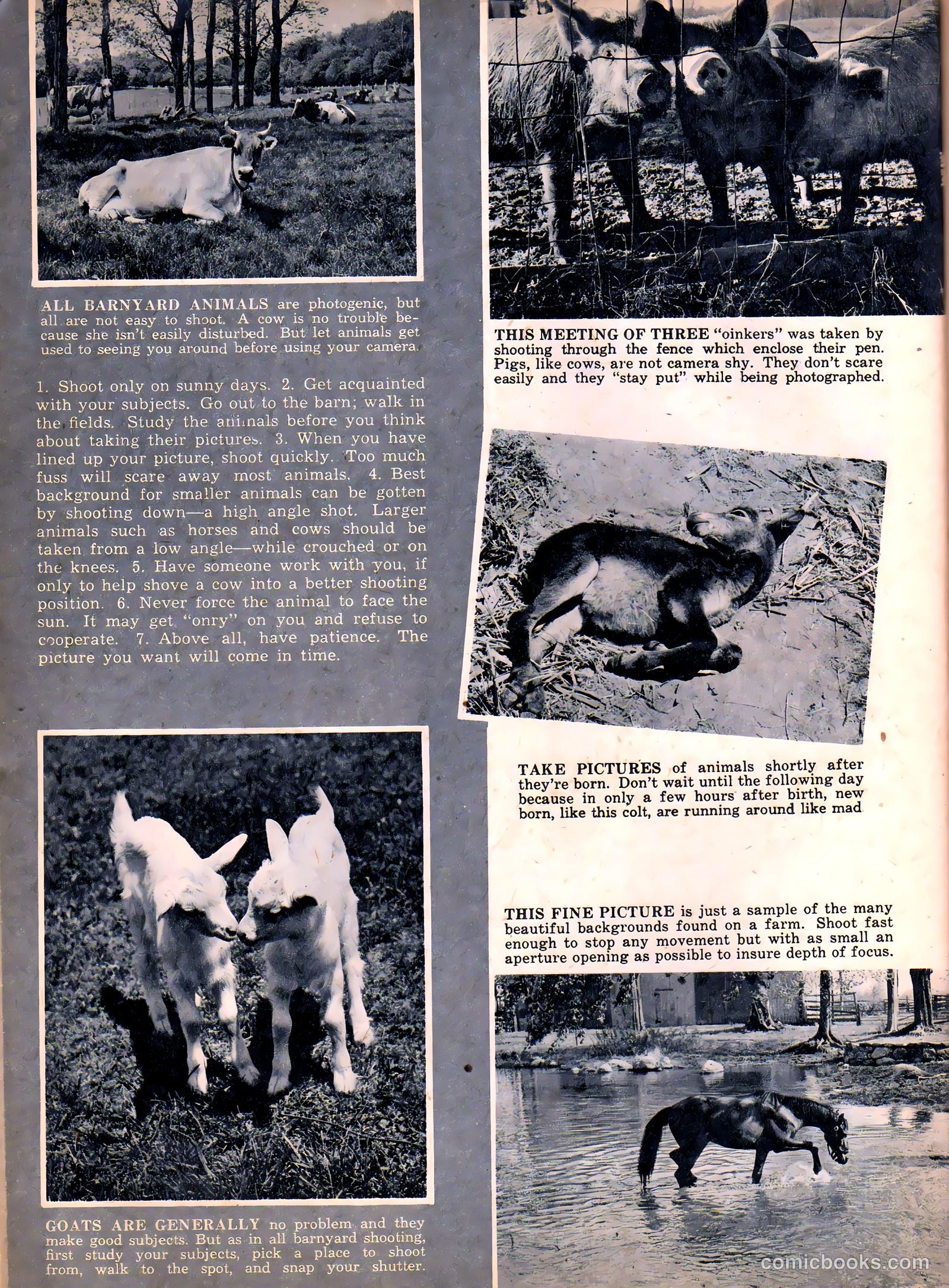 Camera Comics #8 (1946) — page 30