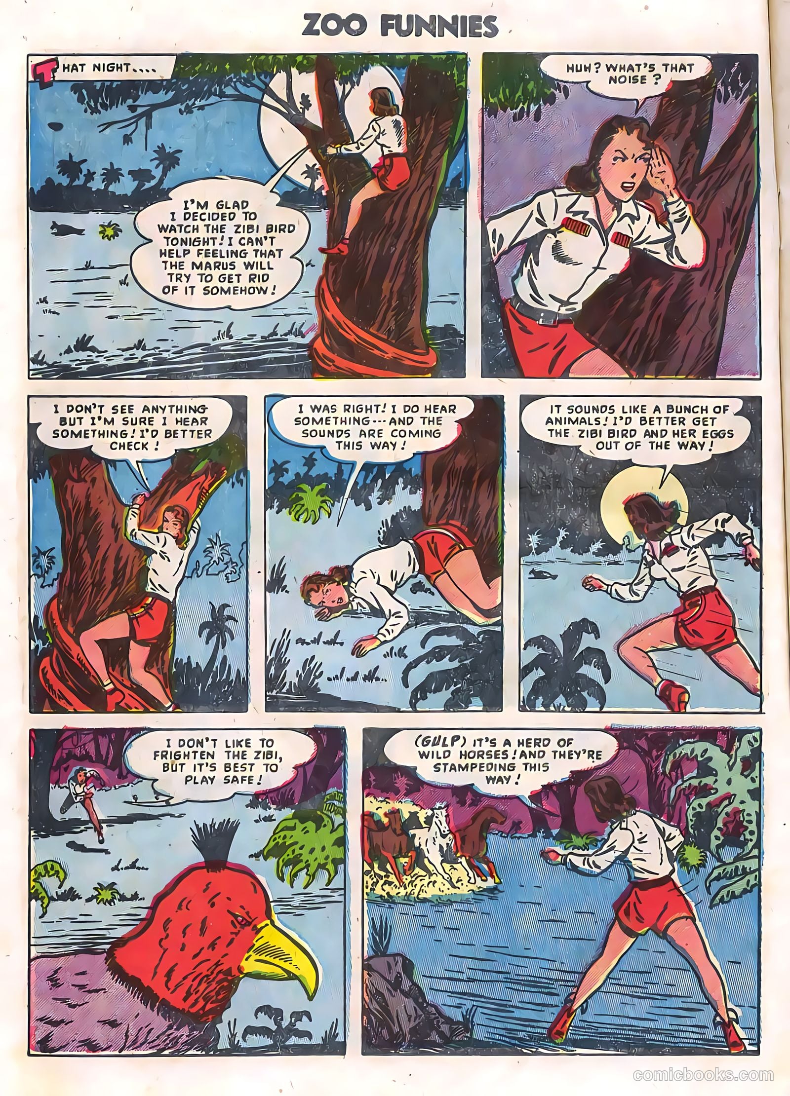 Zoo Funnies v2 #12 (1956) — page 8
