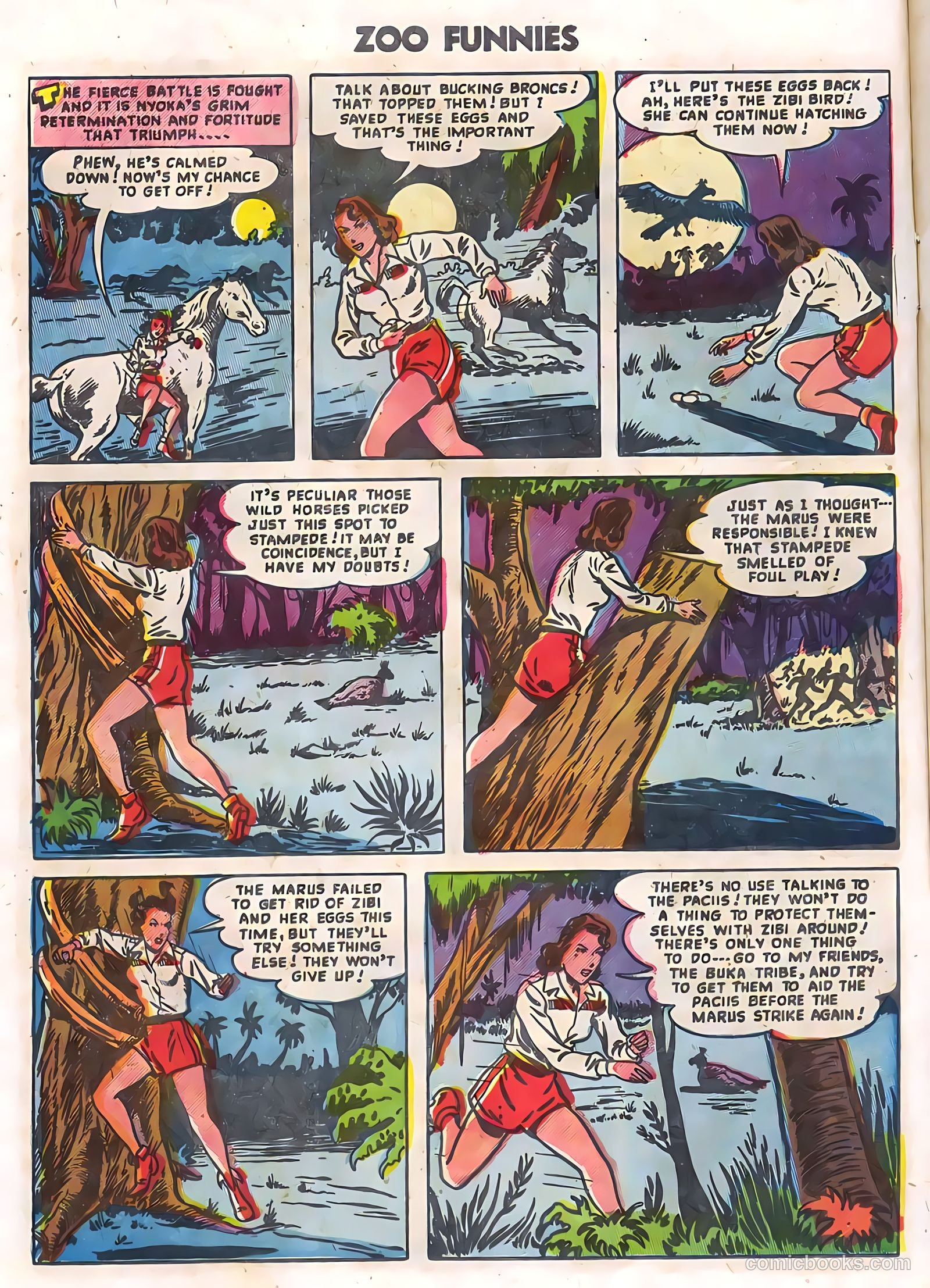 Zoo Funnies v2 #12 (1956) — page 12