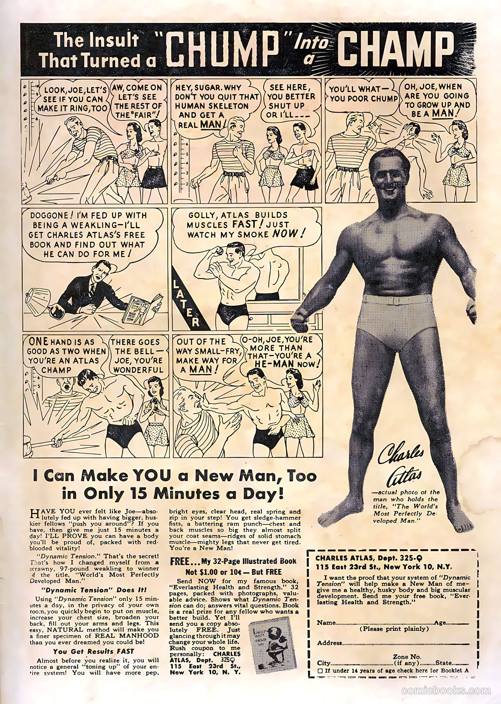Zoo Funnies v2 #12 (1956) — page 35