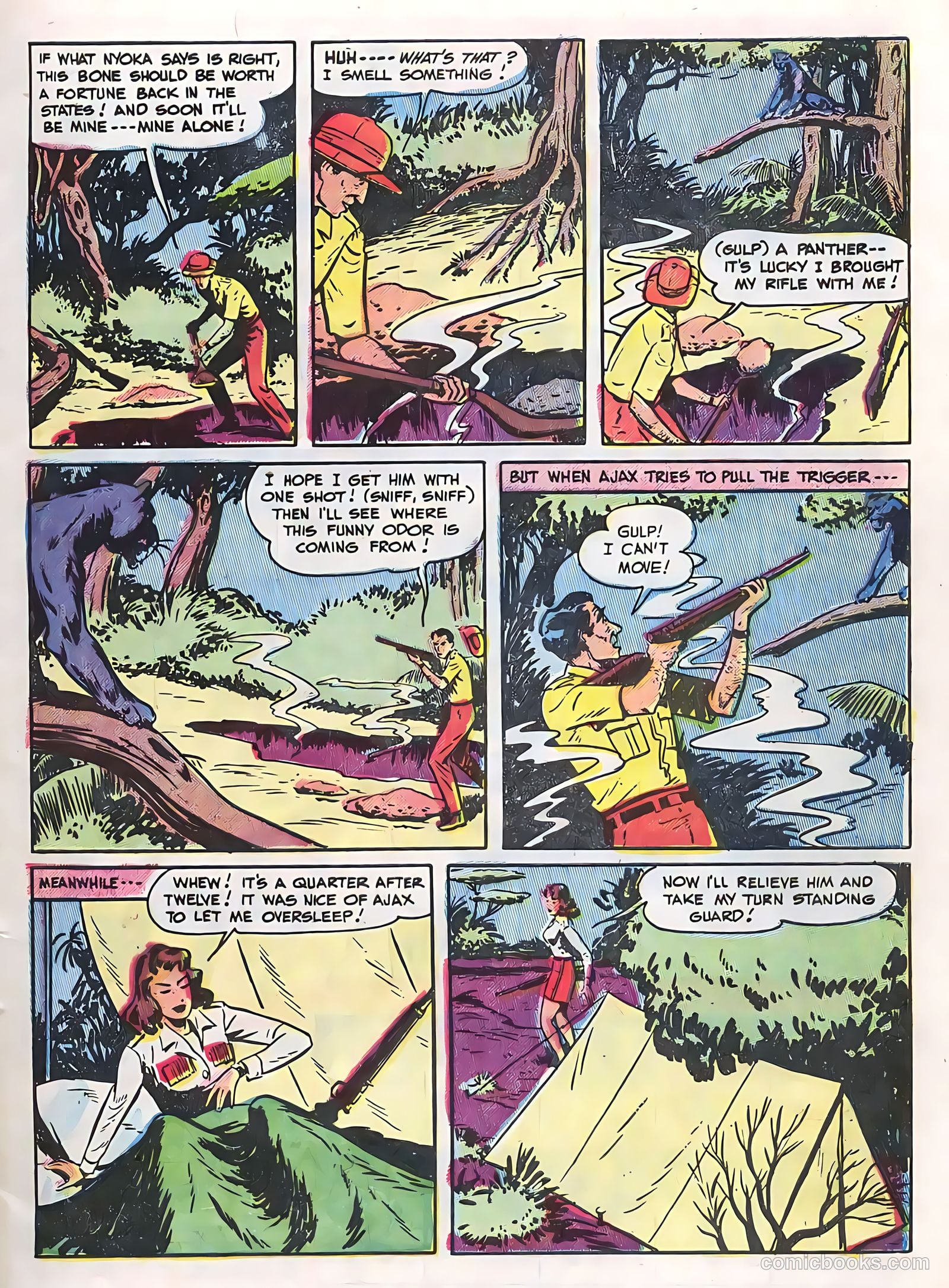 Zoo Funnies v2 #13 (1955) — page 5