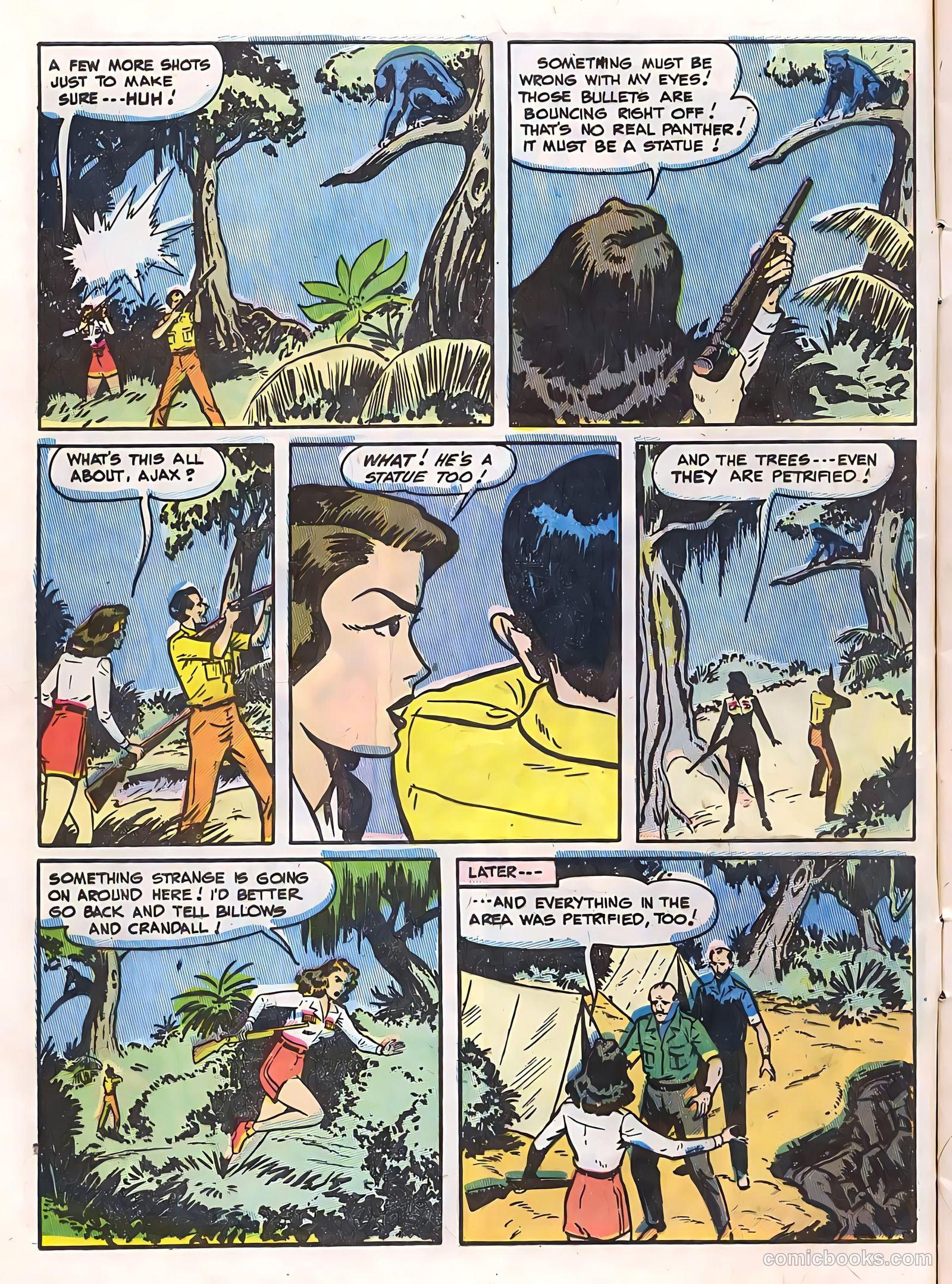 Zoo Funnies v2 #13 (1955) — page 8