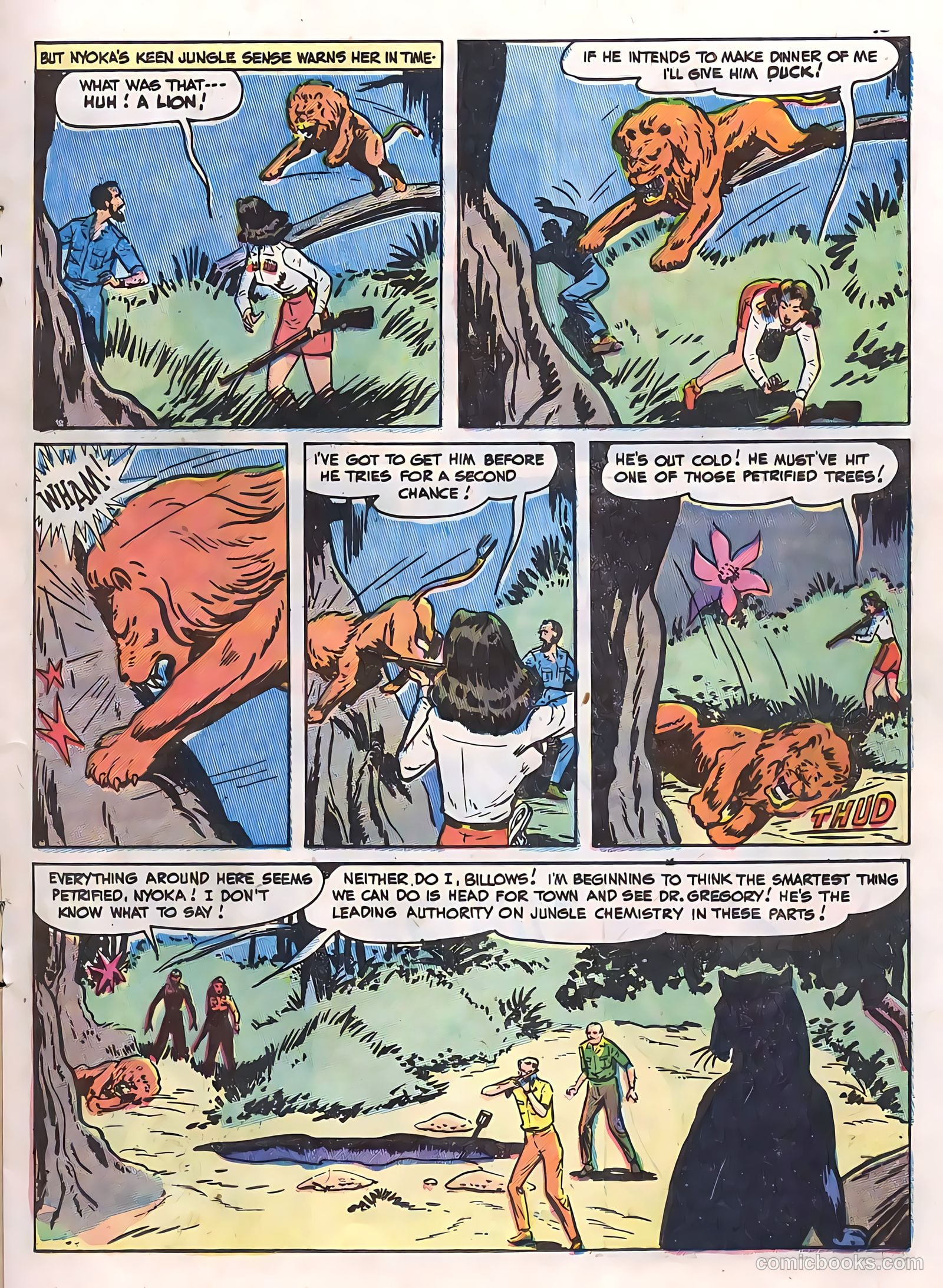 Zoo Funnies v2 #13 (1955) — page 17