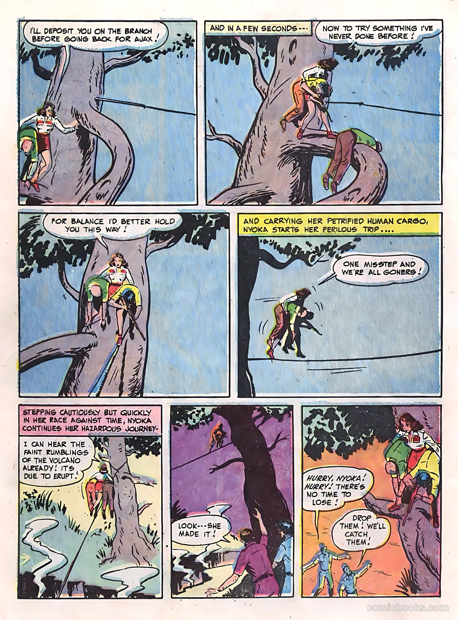 Zoo Funnies v2 #13 (1955) — page 28