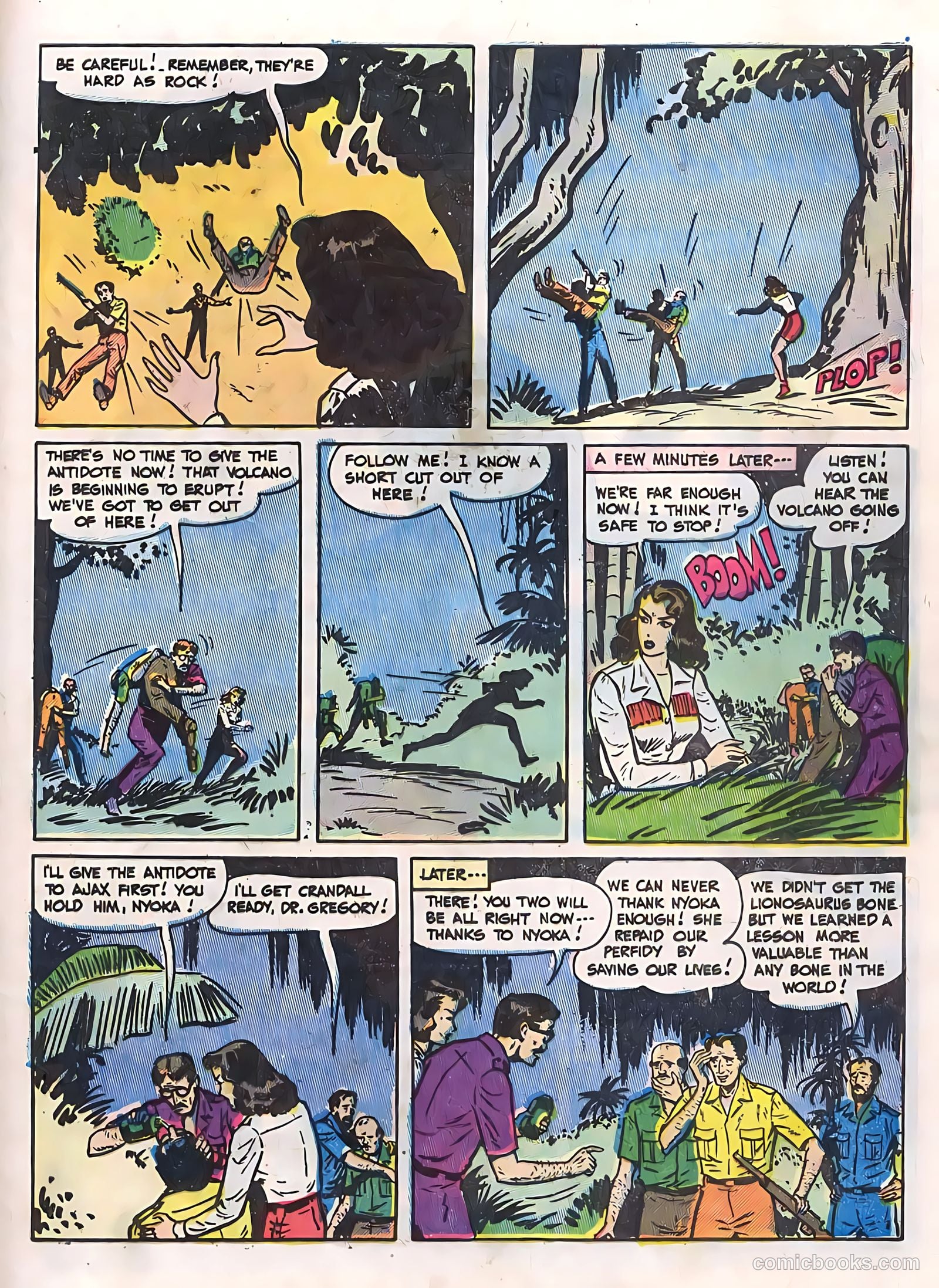 Zoo Funnies v2 #13 (1955) — page 29