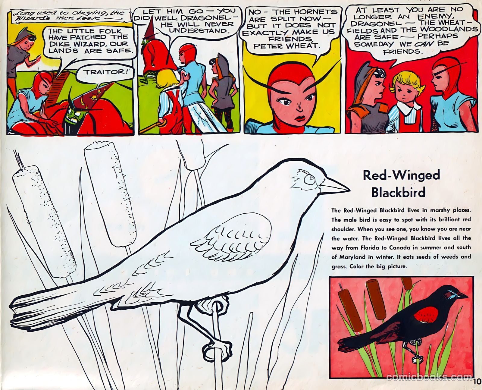 Peter Wheat 4-in-1 Fun Pac #4 (1954) — page 10