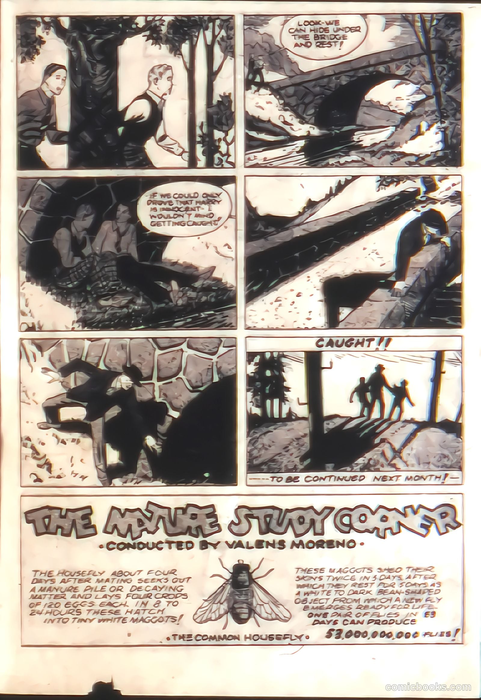 More Fun Comics #27 (1937) — page 41