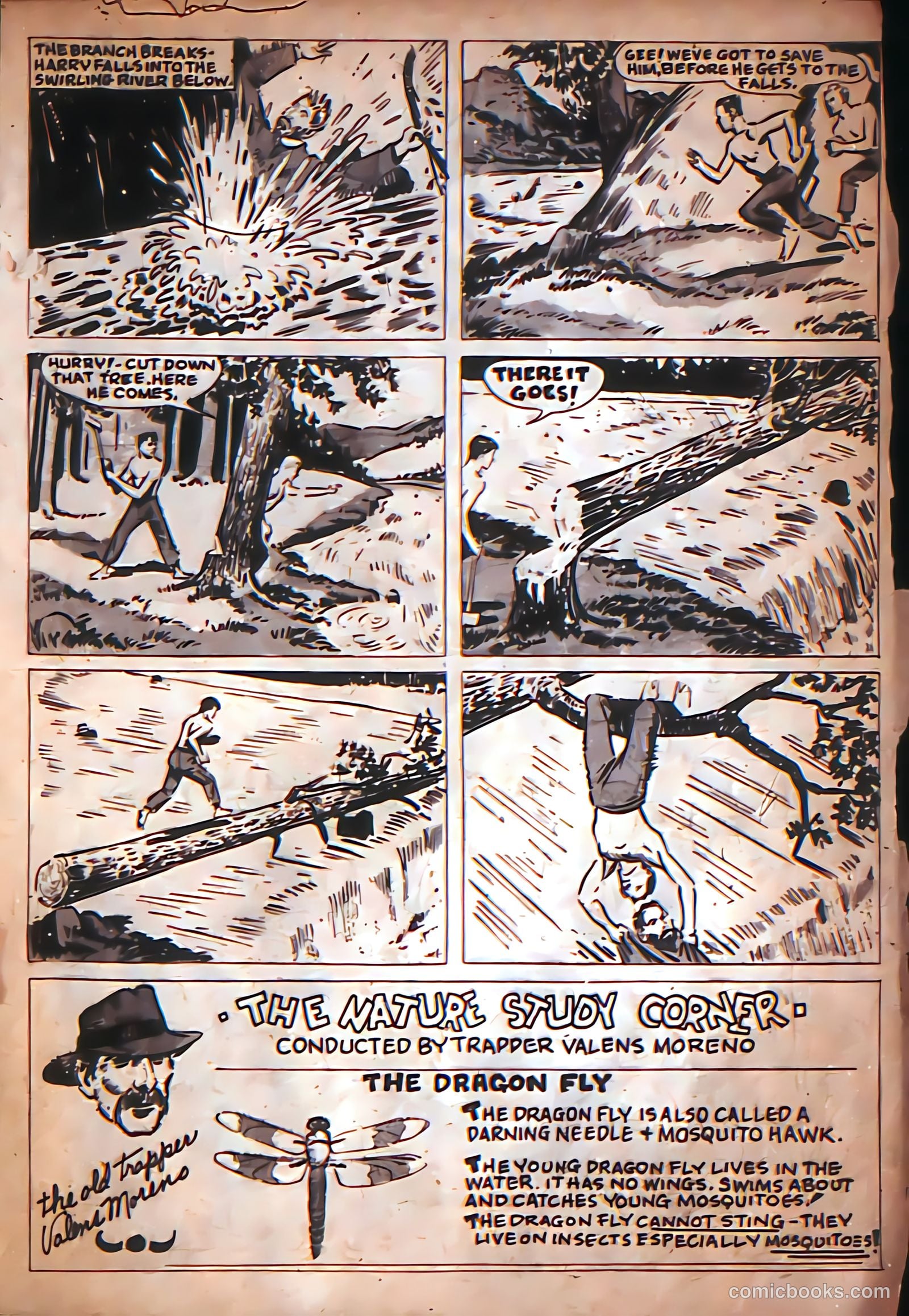 More Fun Comics #22 (1937) — page 33