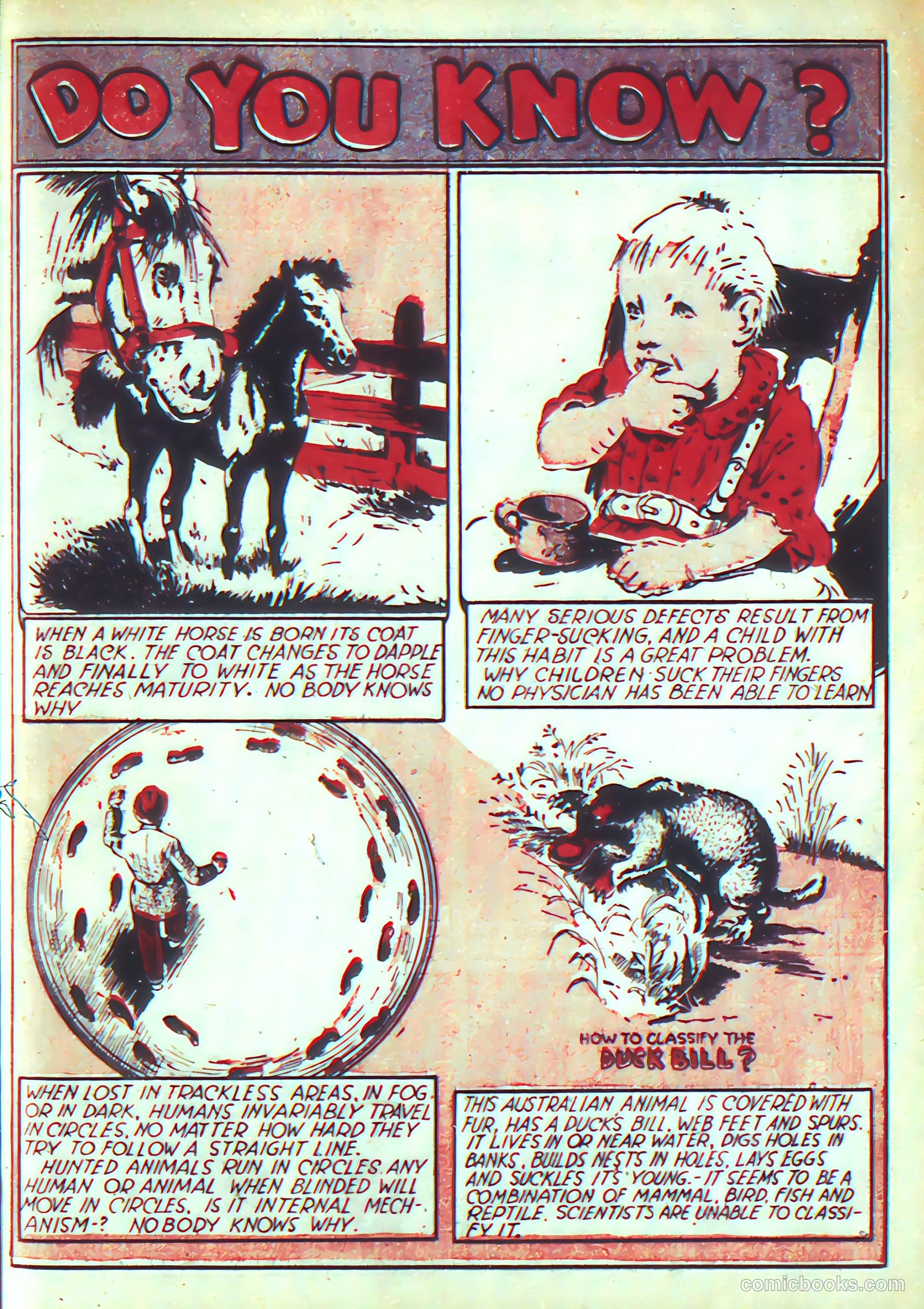 More Fun Comics #21 (1937) — page 40