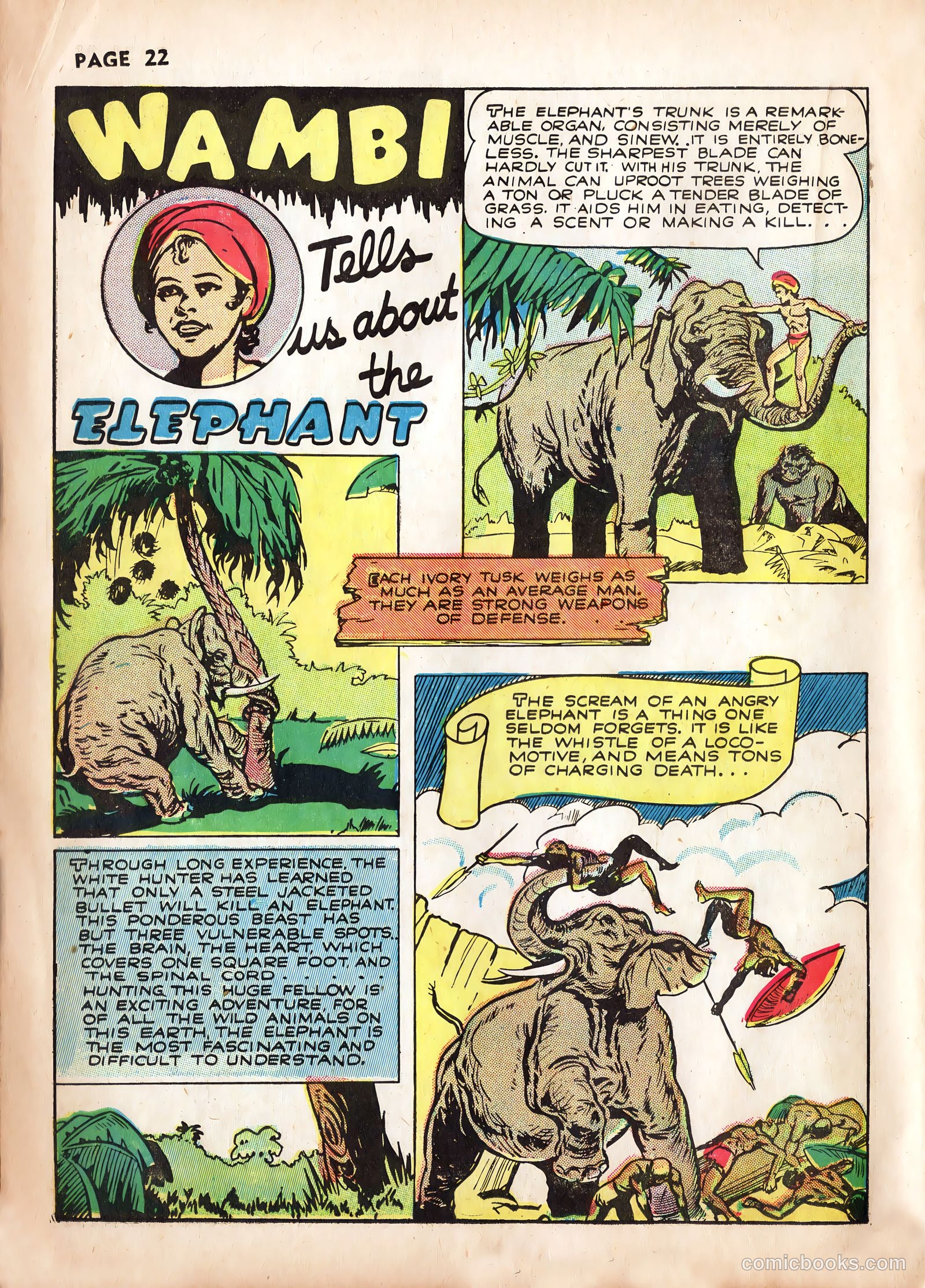 Wambi #2 (1958) — page 24 of 68