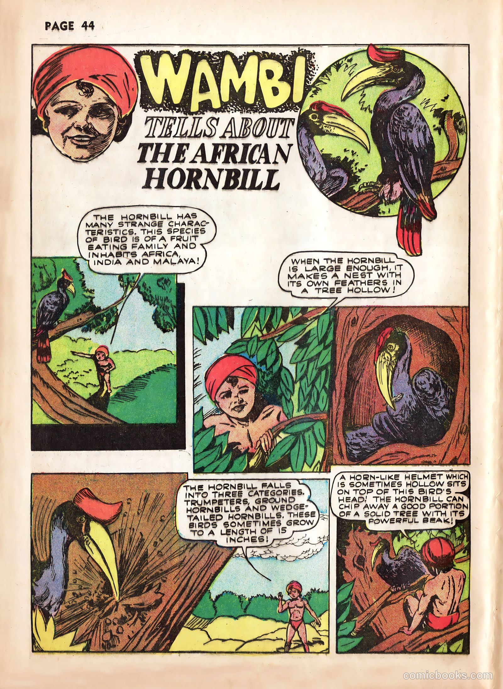Wambi #2 (1958) — page 46 of 68
