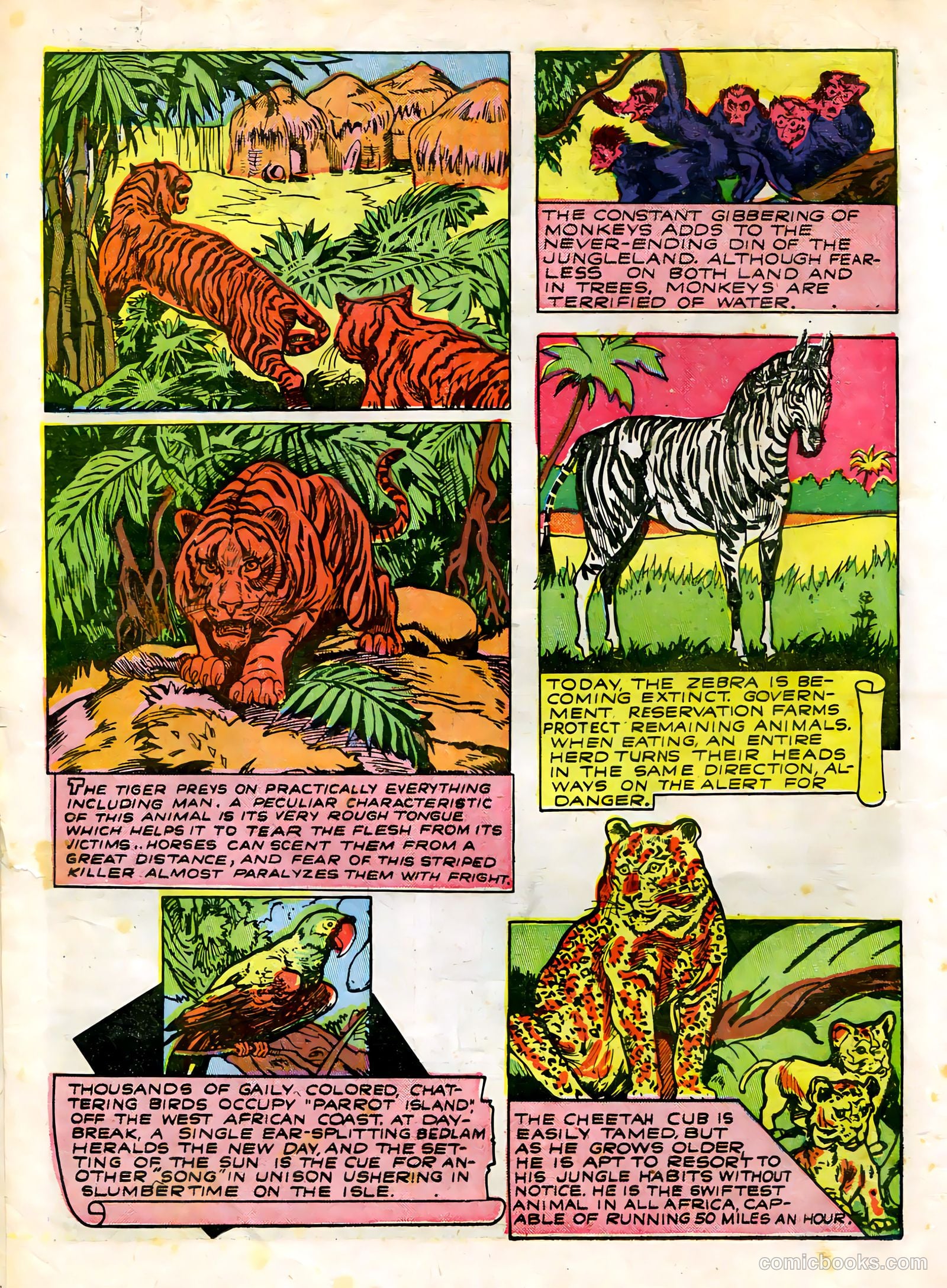 Wambi #3 (1958) — page 34 of 68