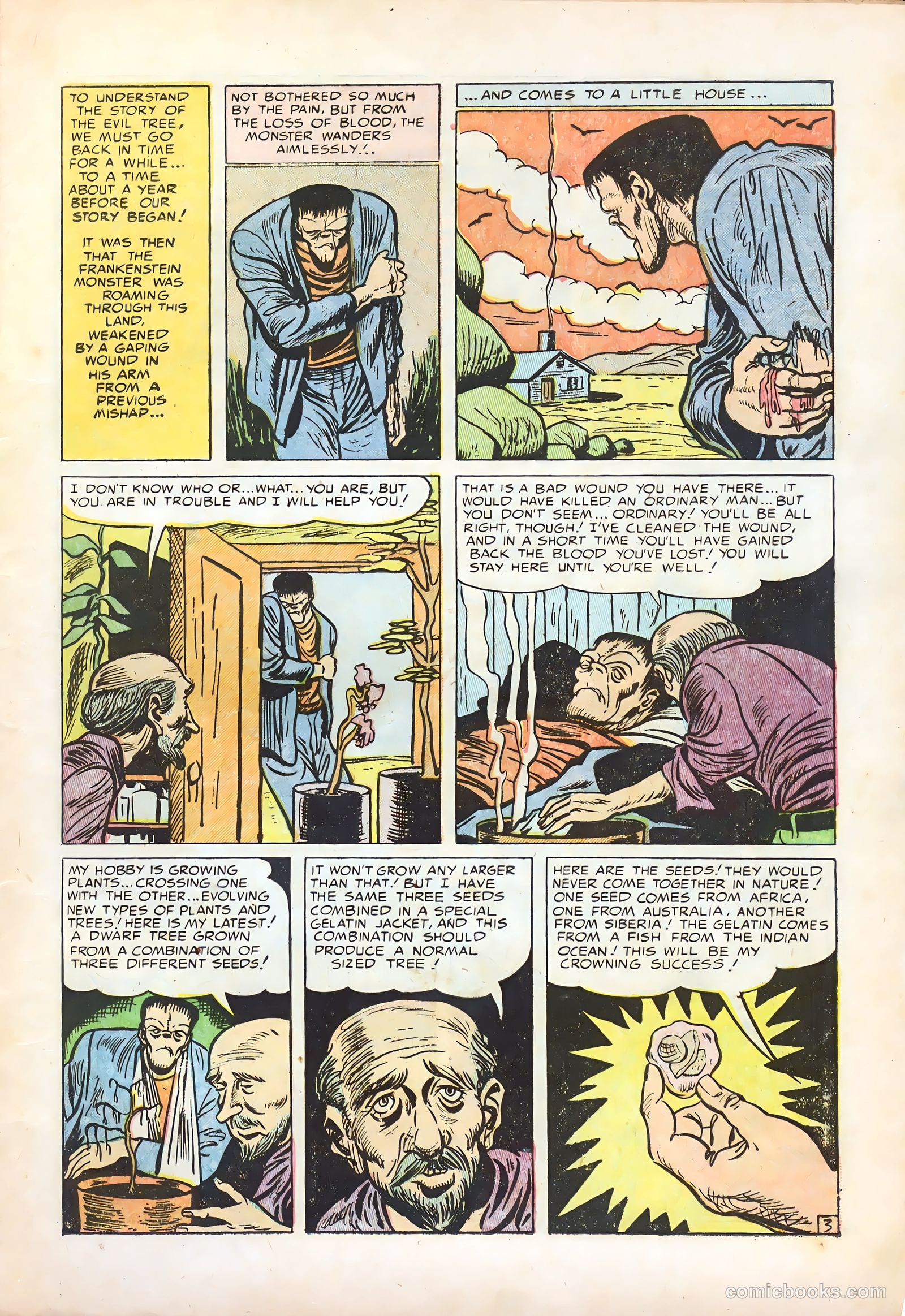 Frankenstein #31 (1945) — page 5 of 35