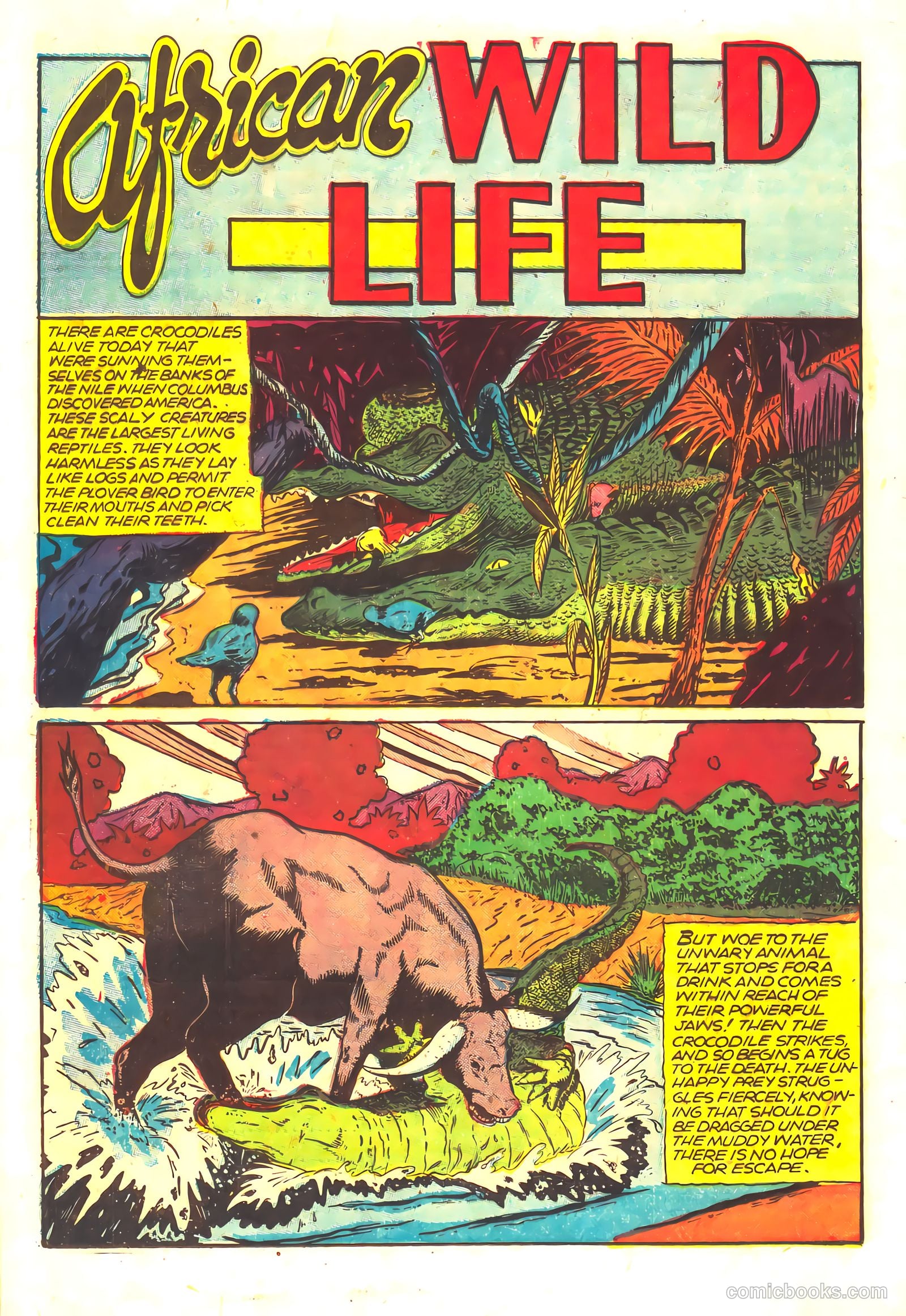 Wambi #16 (1958) — page 20 of 36