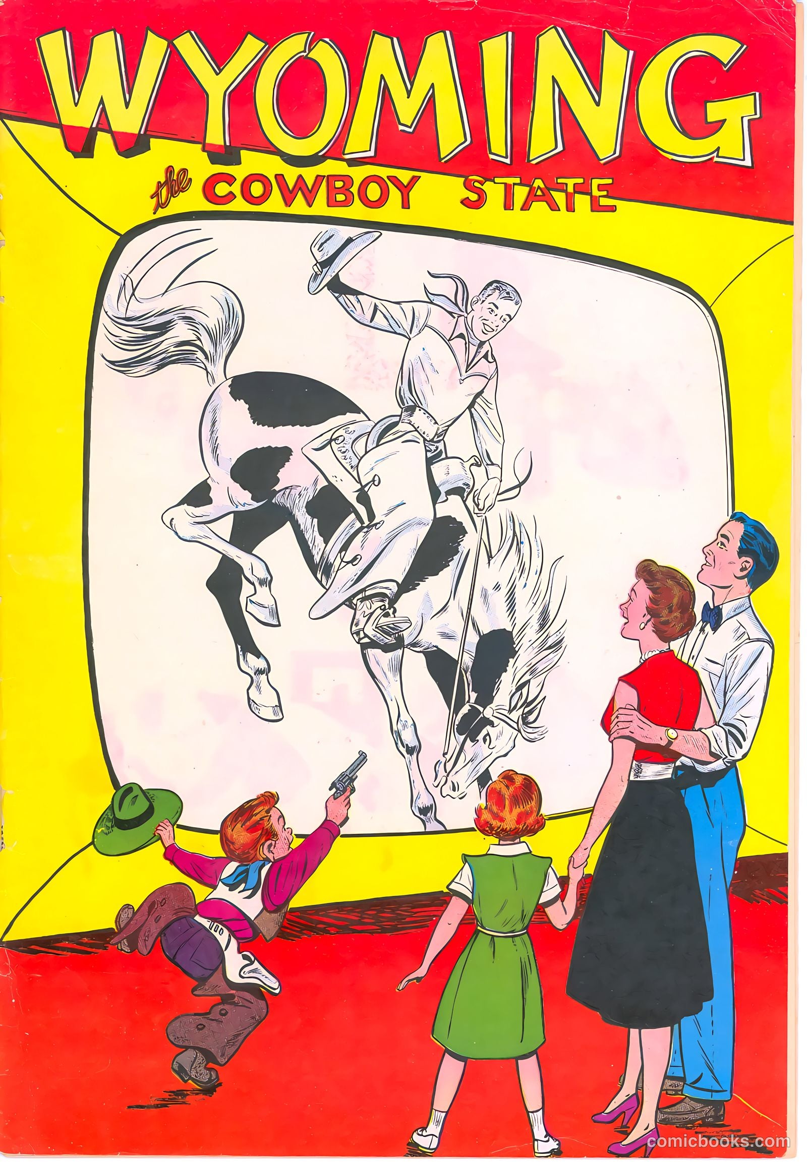 Wyoming: The Cowboy State #nn