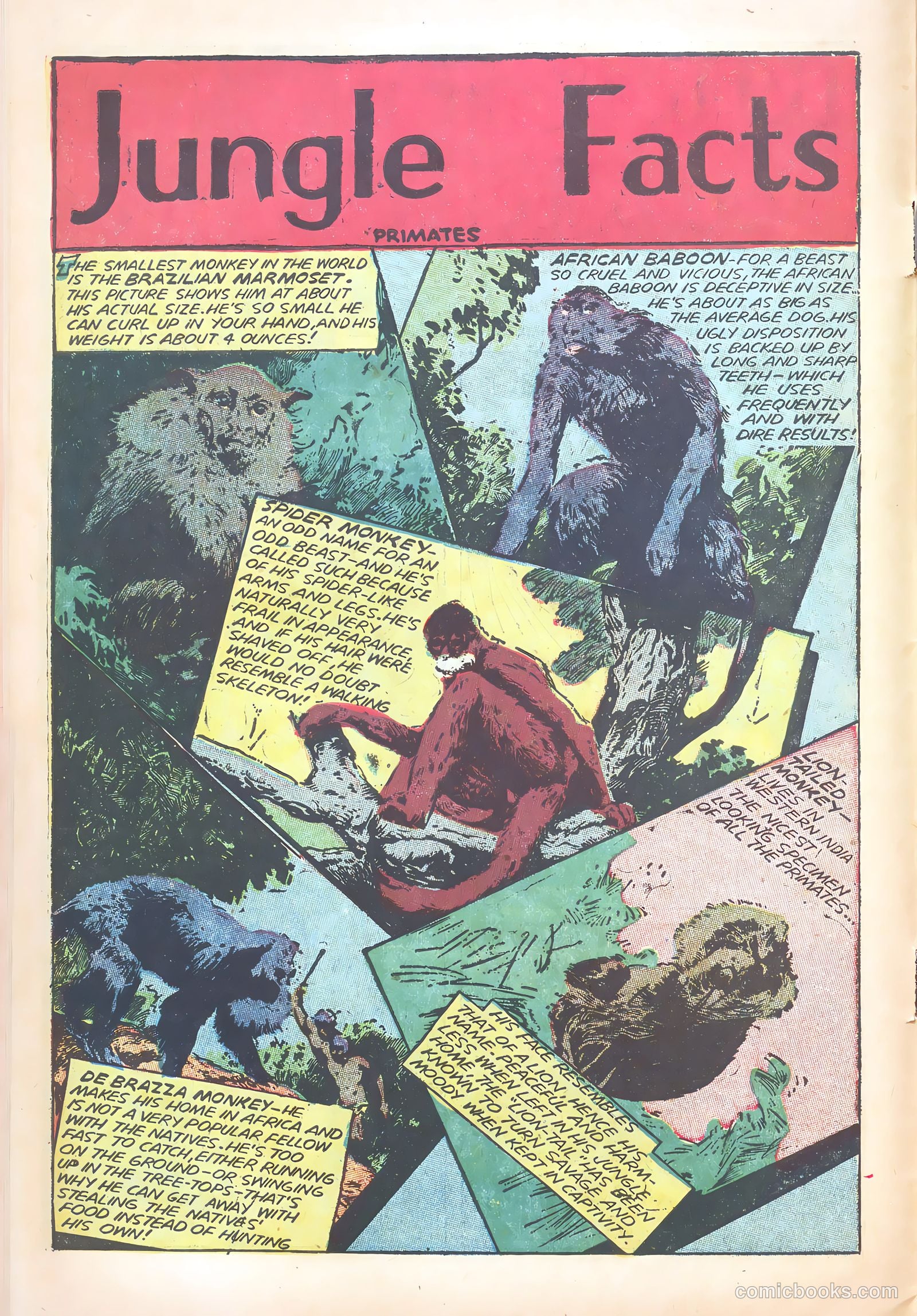 Wambi #18 (1958) — page 10 of 36