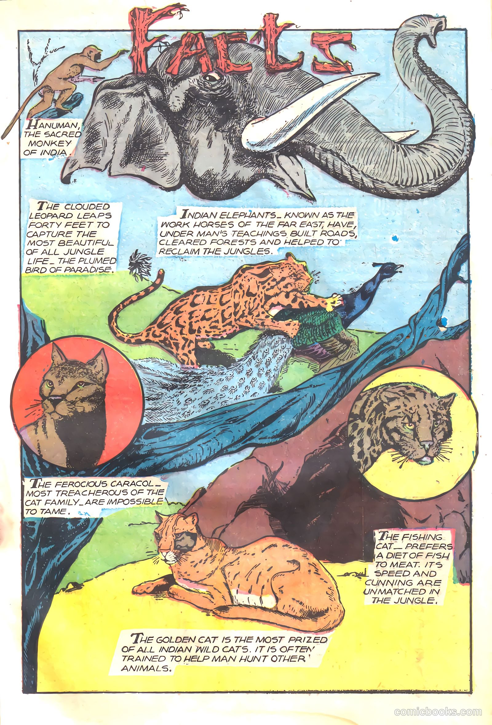 Wambi #17 (1958) — page 17 of 36
