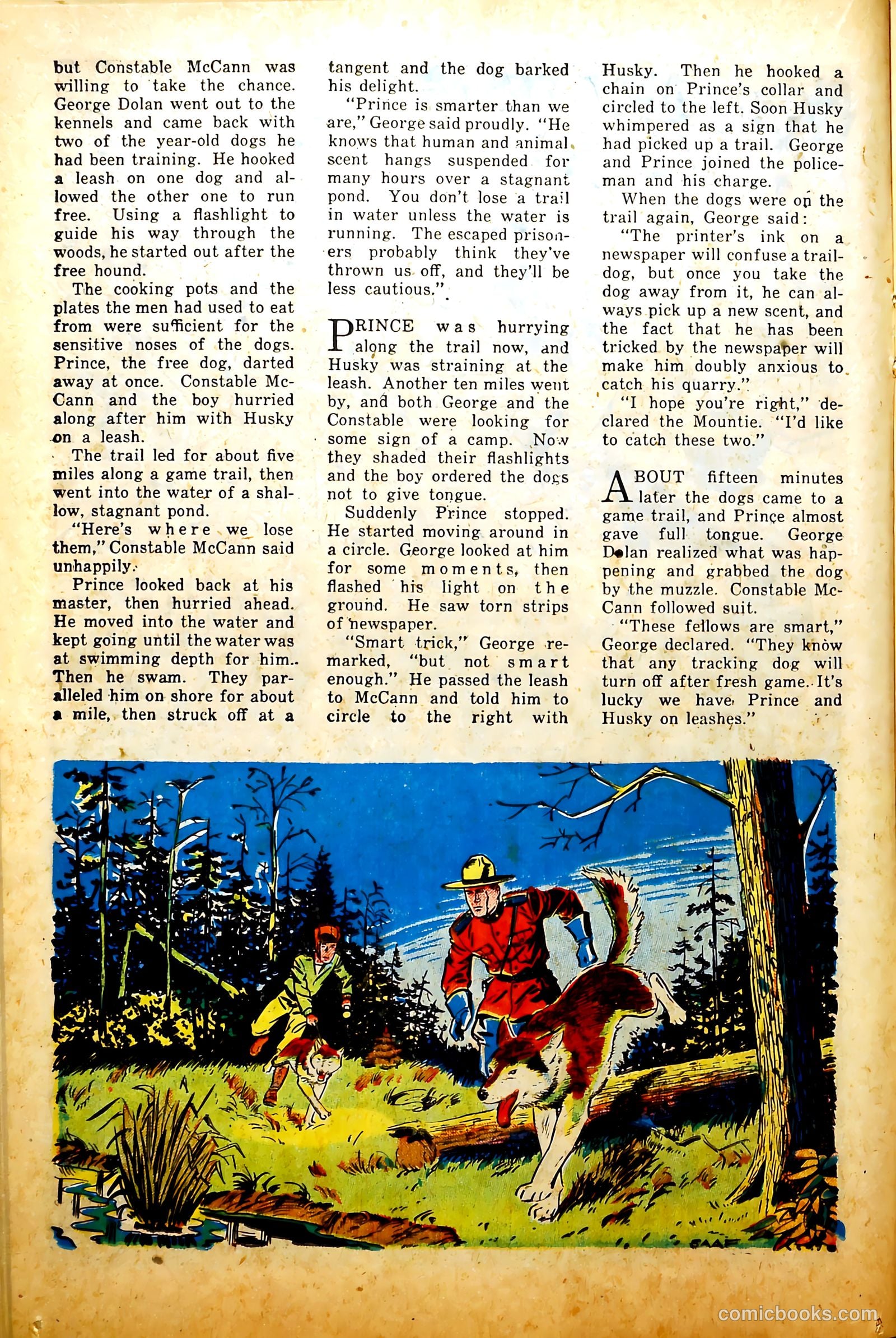 America's Best Comics #28 (1942) — page 24 of 51