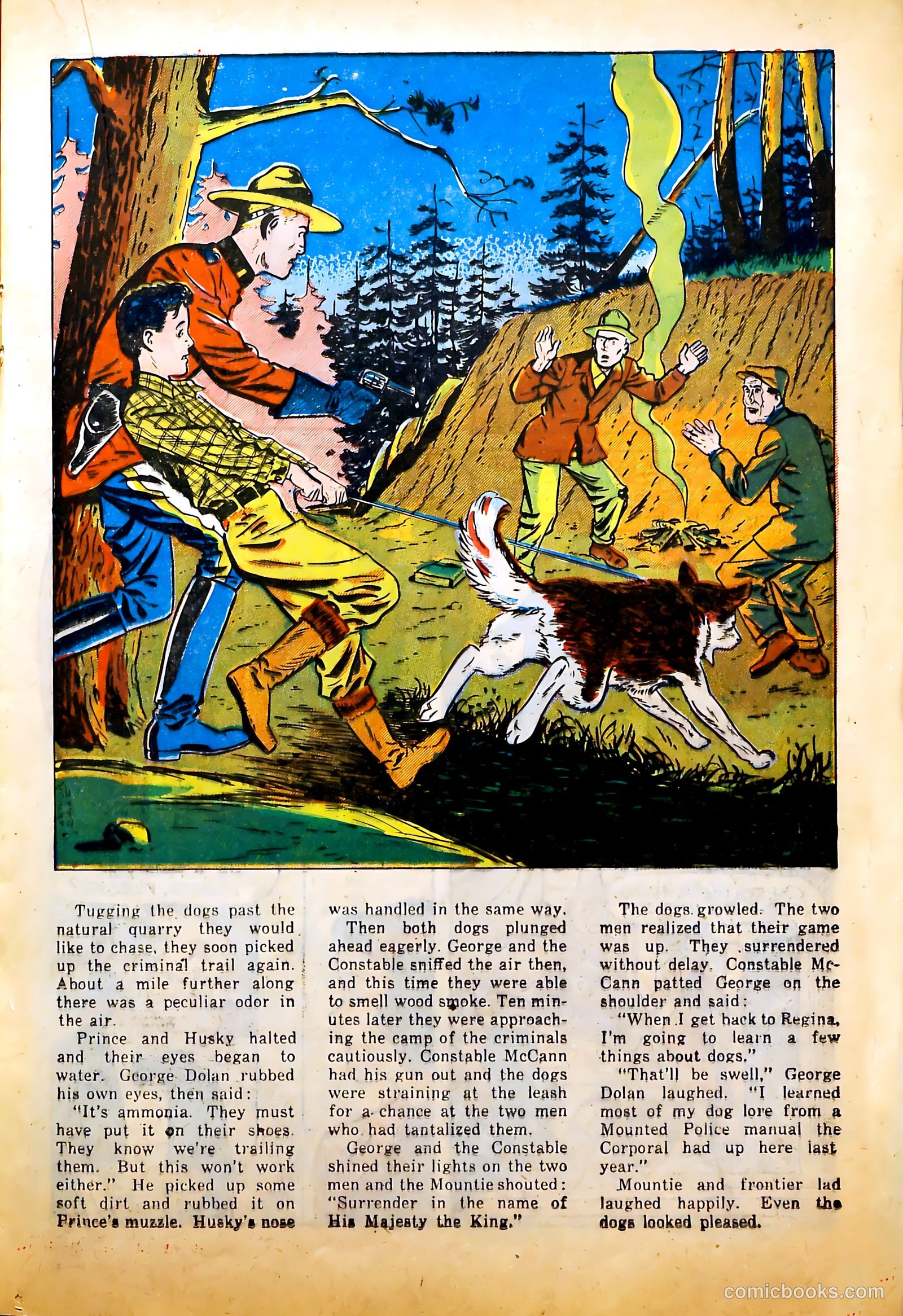 America's Best Comics #28 (1942) — page 25 of 51