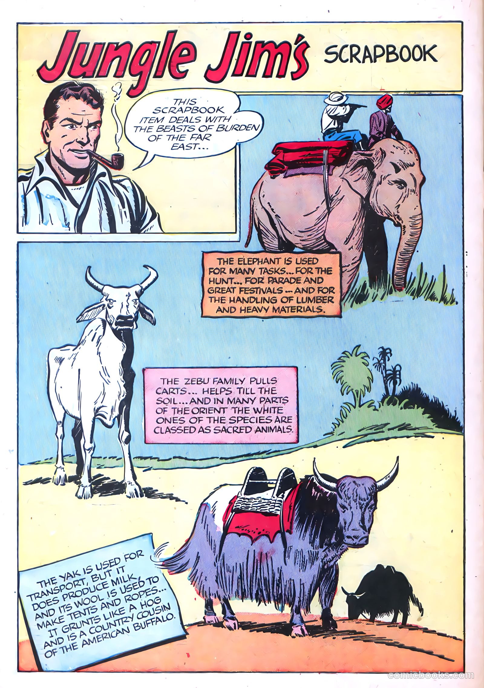 Jungle Jim #14 (1949) — page 34 of 36