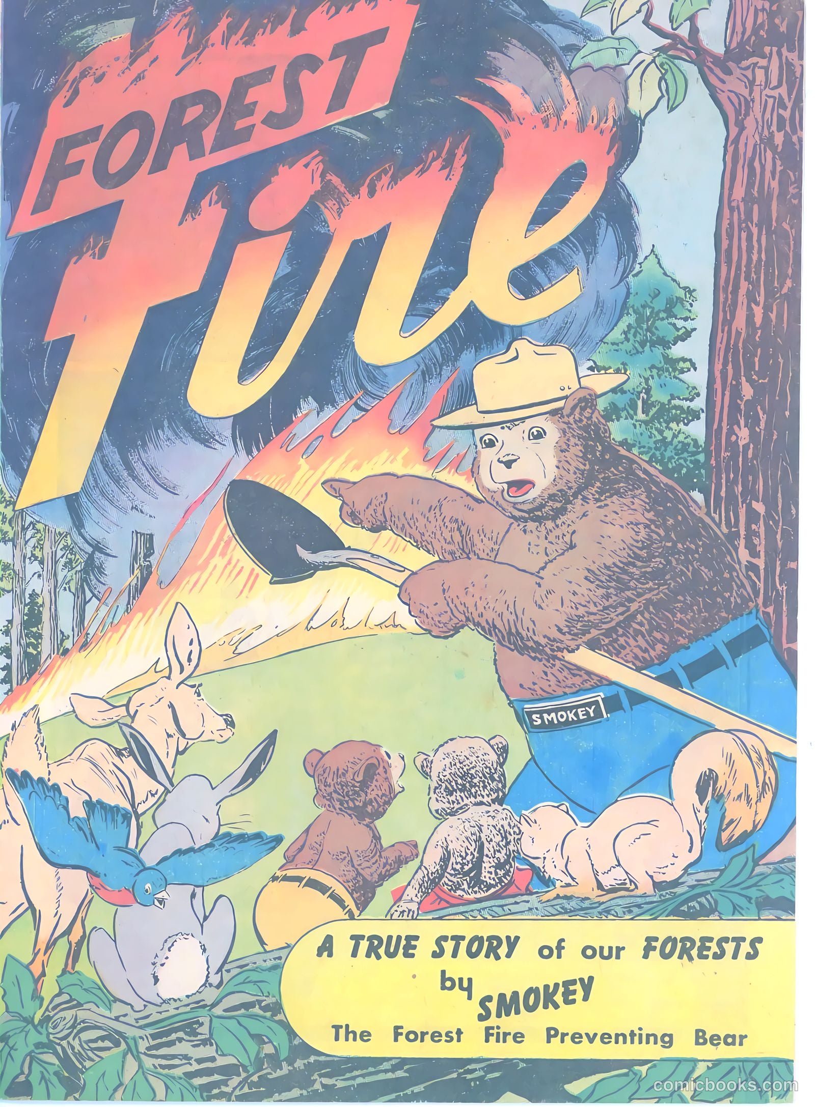 Forest Fire #nn