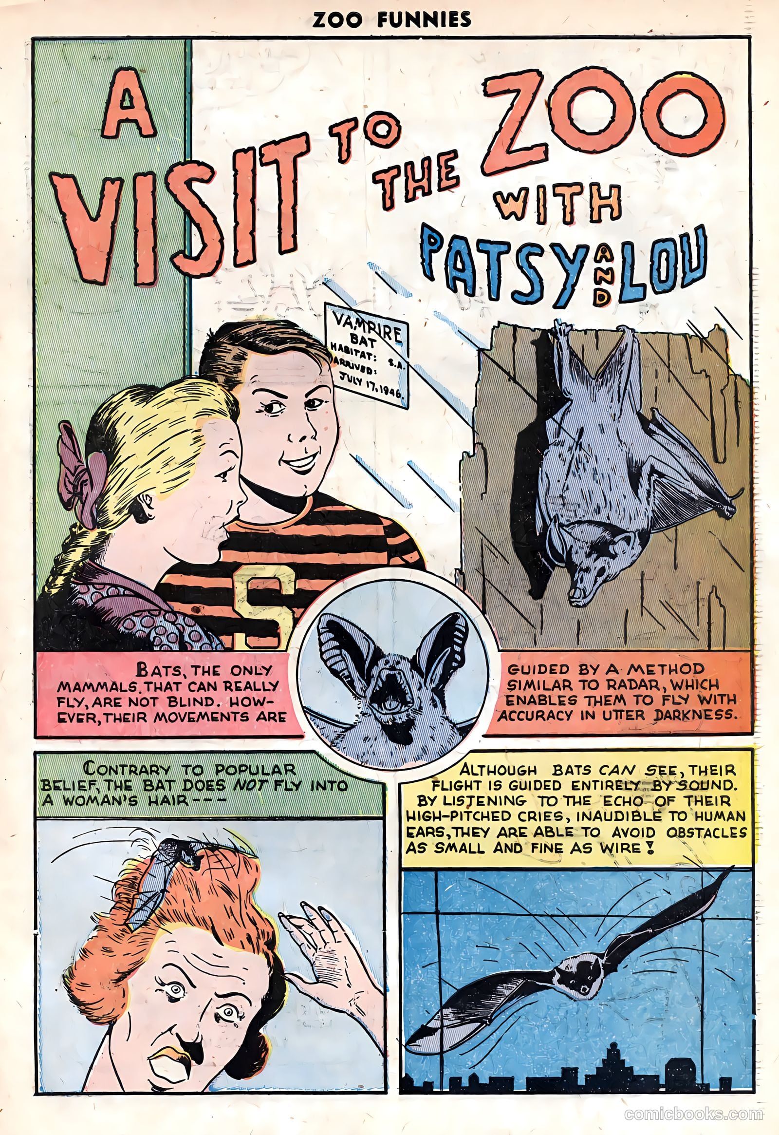 Zoo Funnies v1 #11 — page 33 of 36