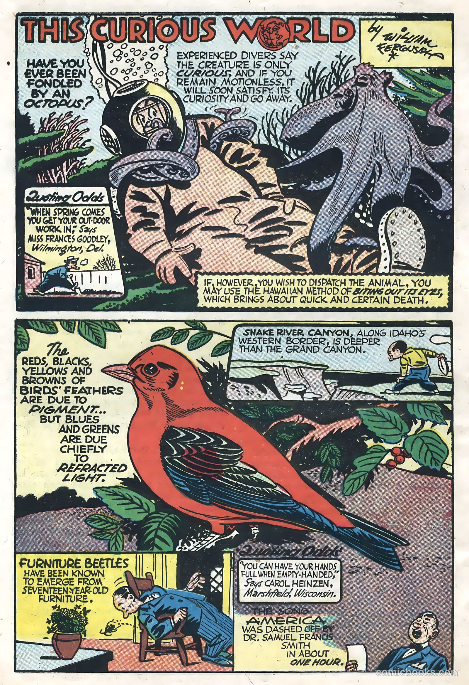 Captain Easy #1 (1950) — page 30 of 36