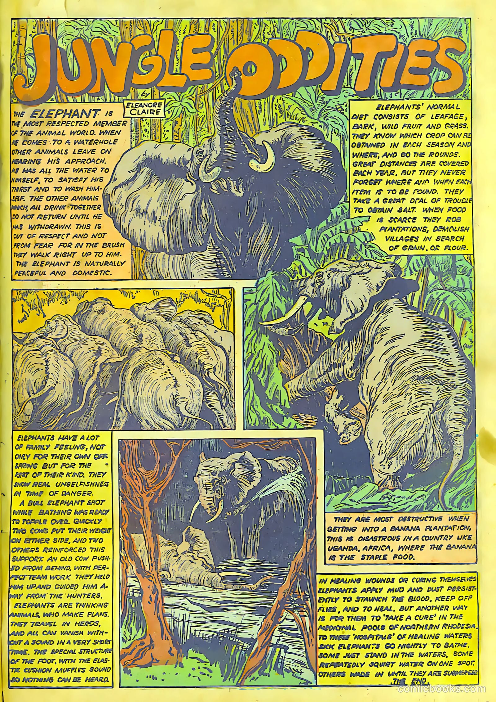 Rulah Jungle Goddess #21 — page 31 of 32