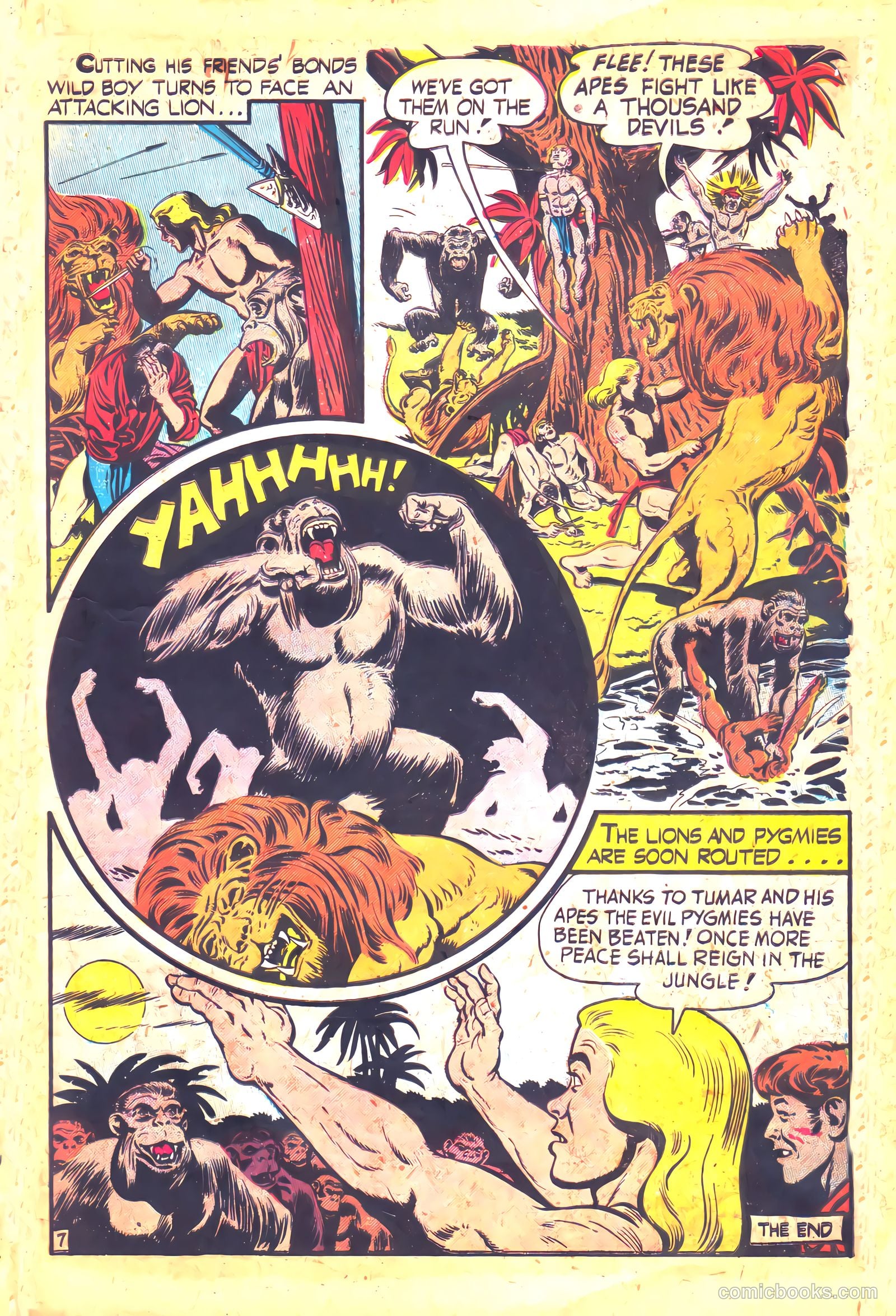 Wild Boy #3 (2014) — page 9 of 36