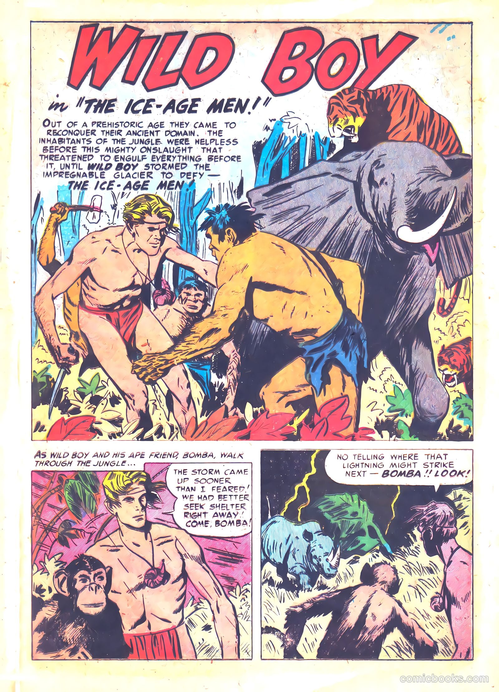 Wild Boy #3 (2014) — page 11 of 36