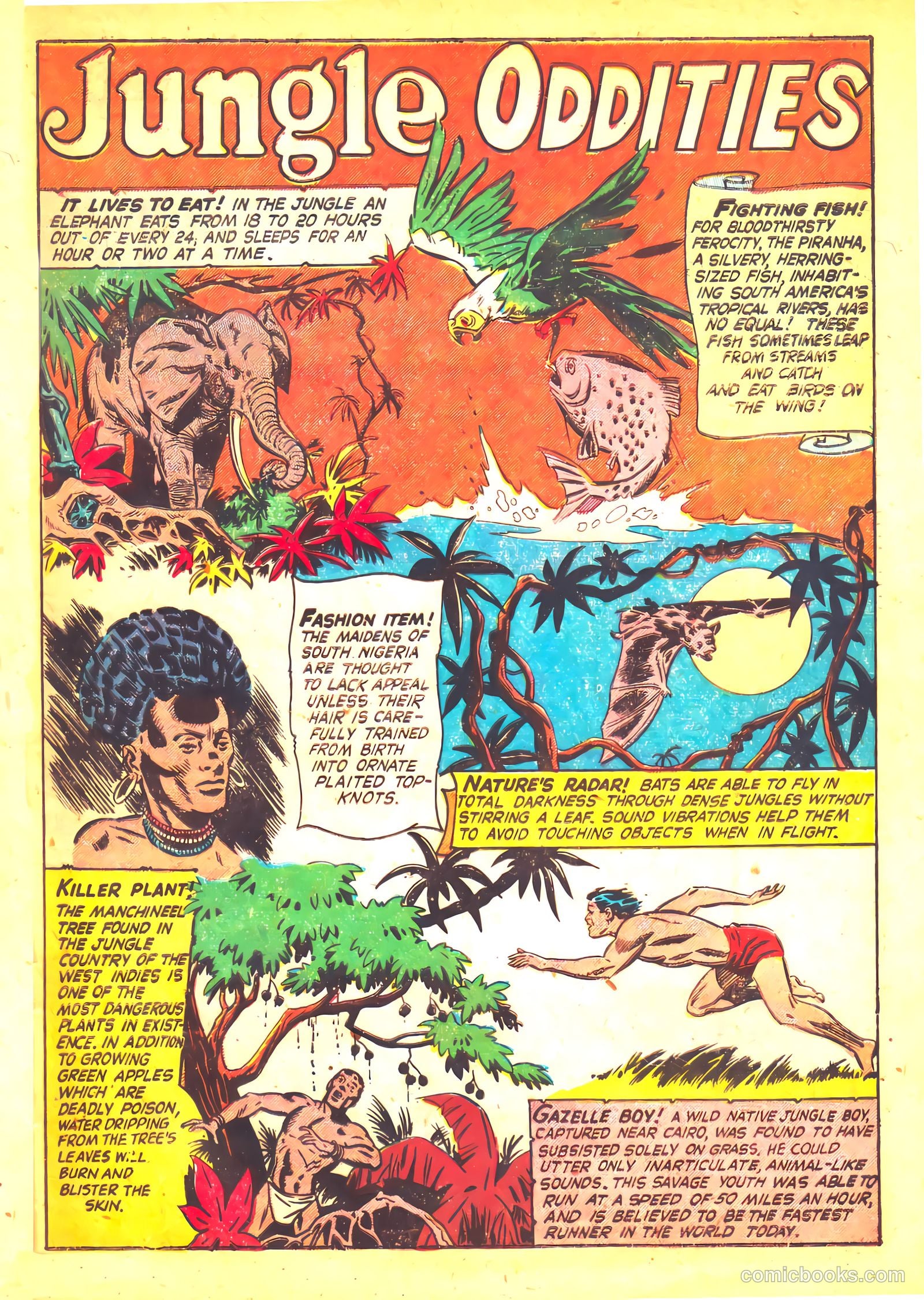 Wild Boy #3 (2014) — page 33 of 36