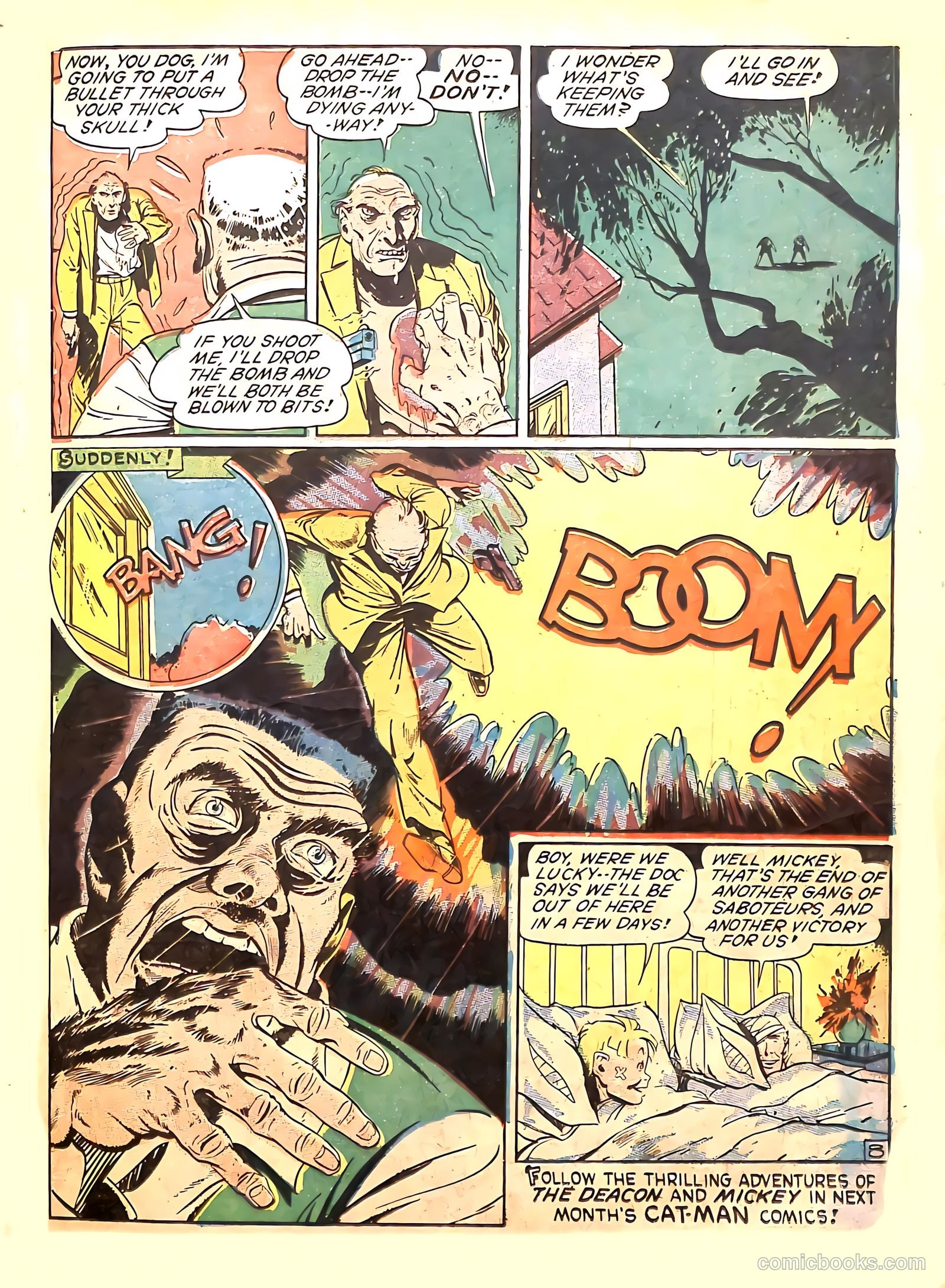 Cat-Man Comics #11 (1941) — page 19 of 67