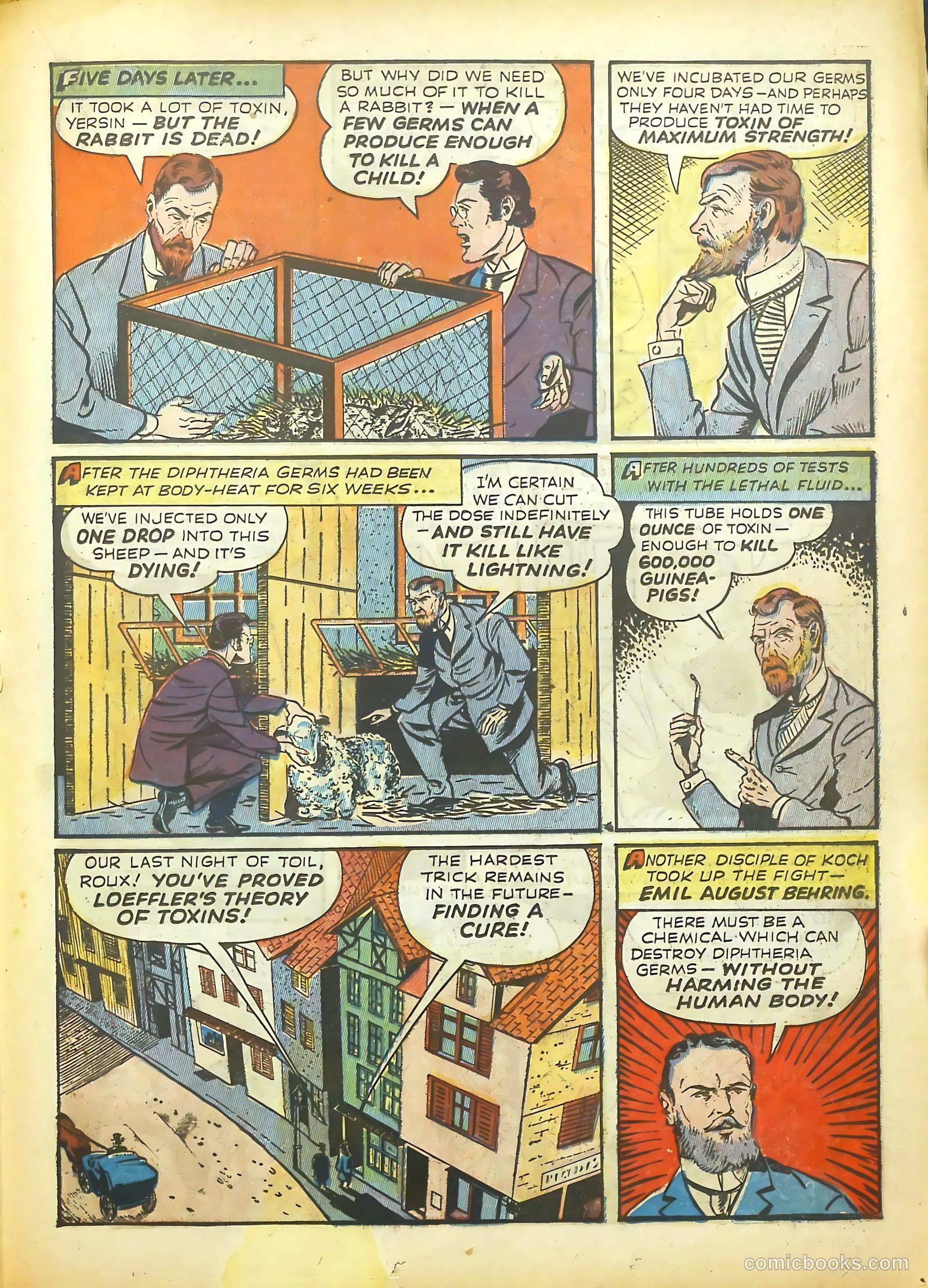 Real Life Comics #11 (1950) — page 35 of 68