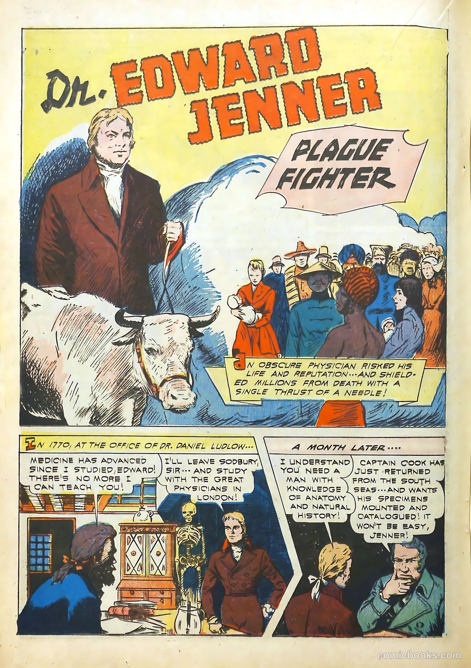 Real Life Comics #15 (1950) — page 36 of 60