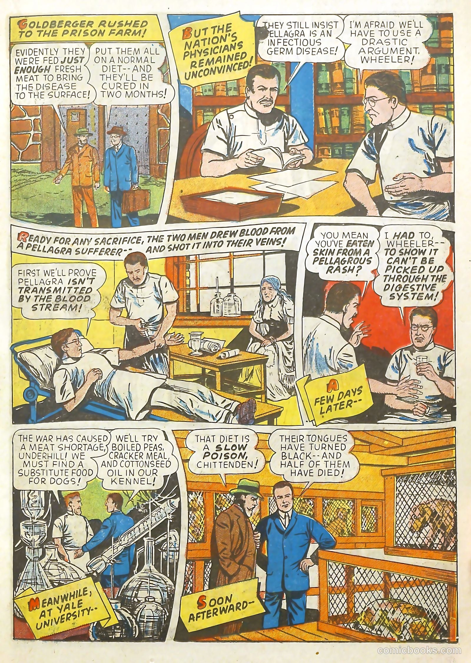 Real Life Comics #12 (1950) — page 23 of 60