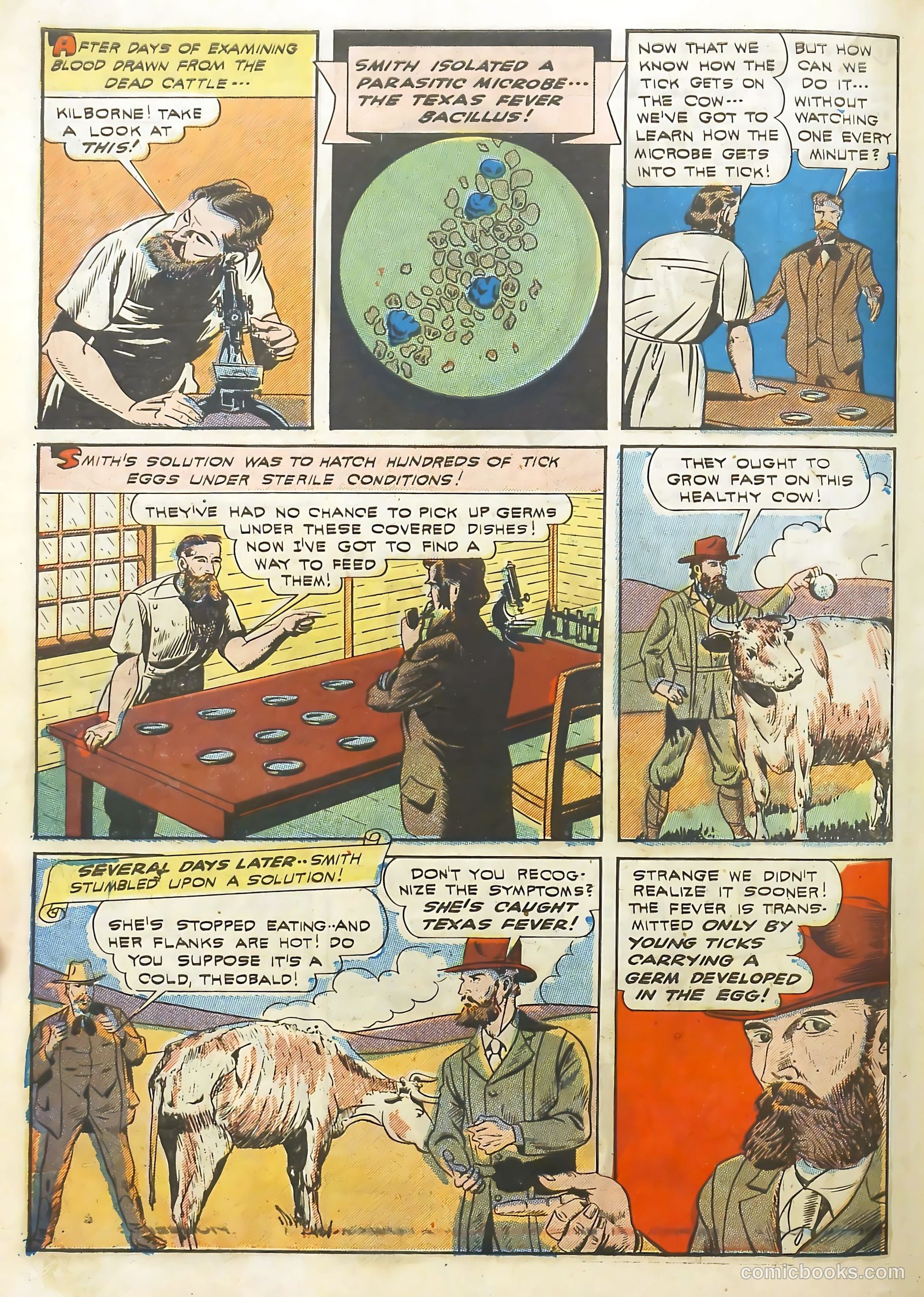 Real Life Comics #13 (1950) — page 55 of 61