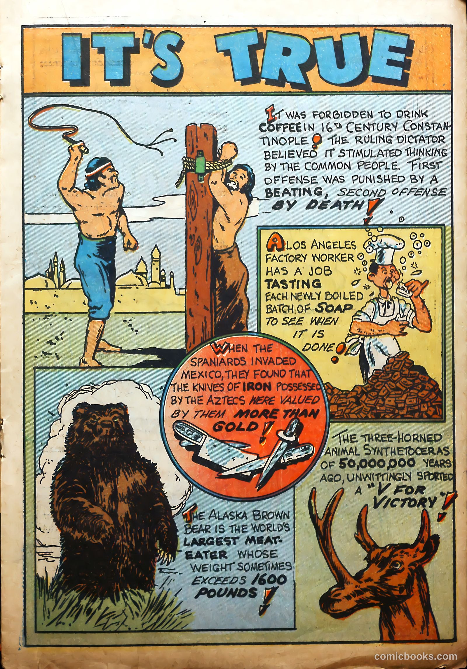Merry Go Round Comics #1 (1947) — page 25 of 52