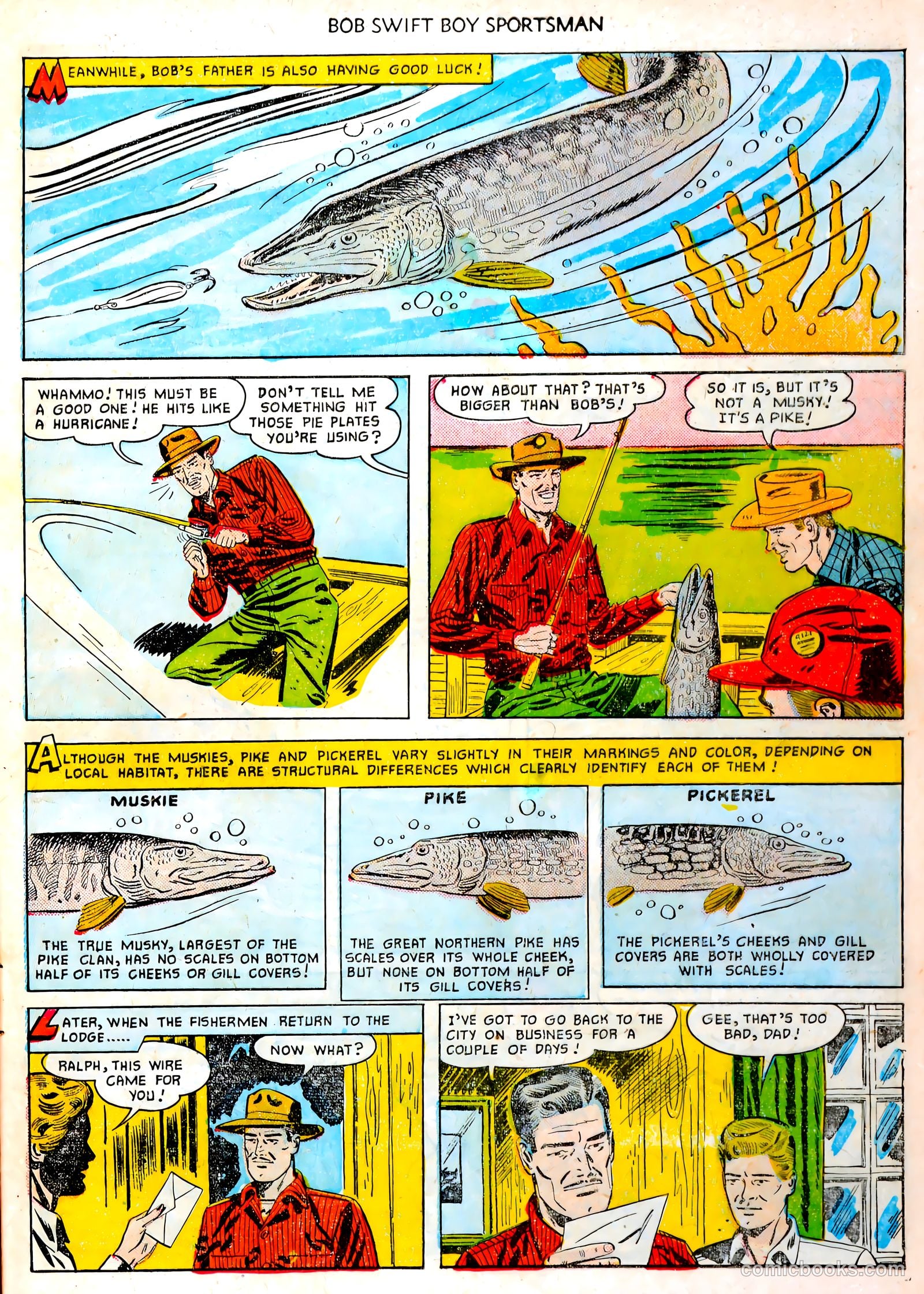 Bob Swift, Boy Sportsman #2 (1951) — page 7 of 35