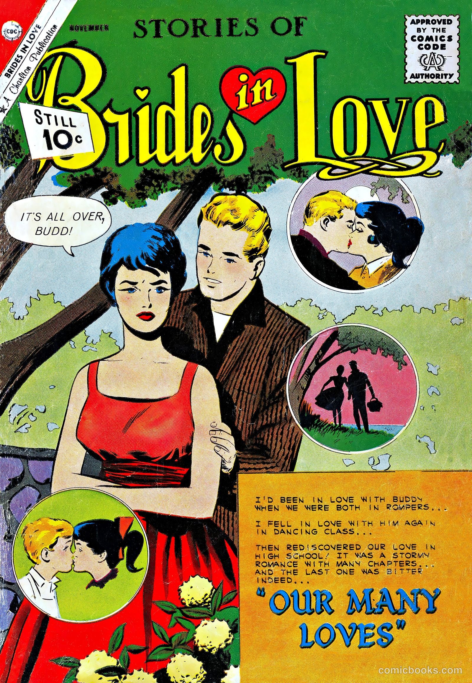 Brides in Love #27 cover