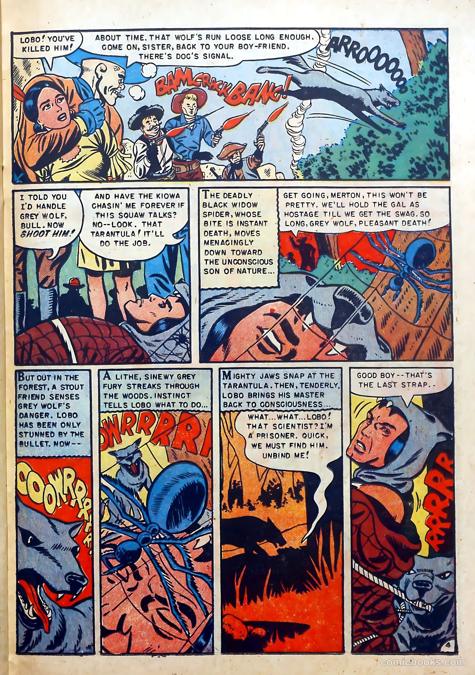 Buffalo Bill #9 (1951) — page 23 of 37