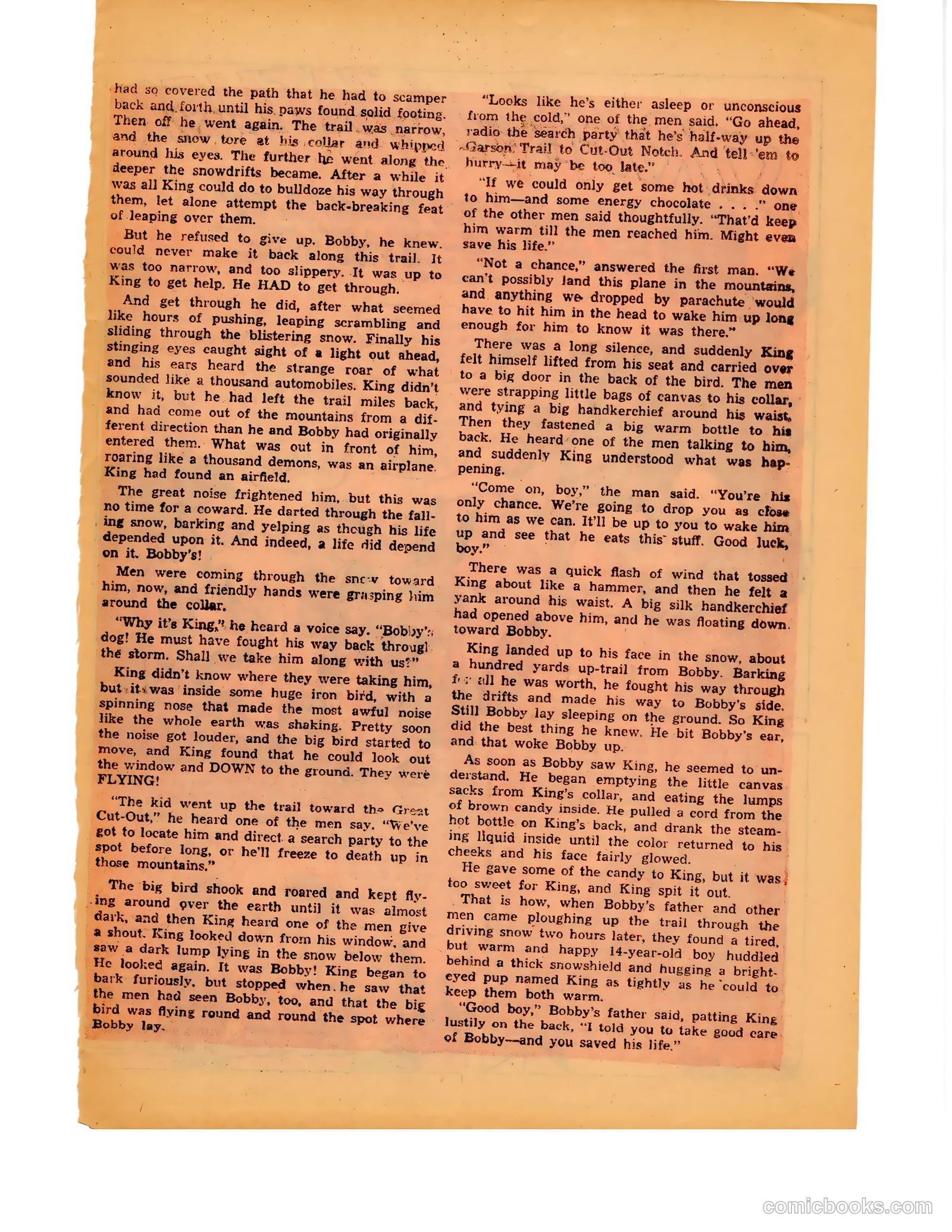 Bughouse #1 (1995) — page 27 of 36