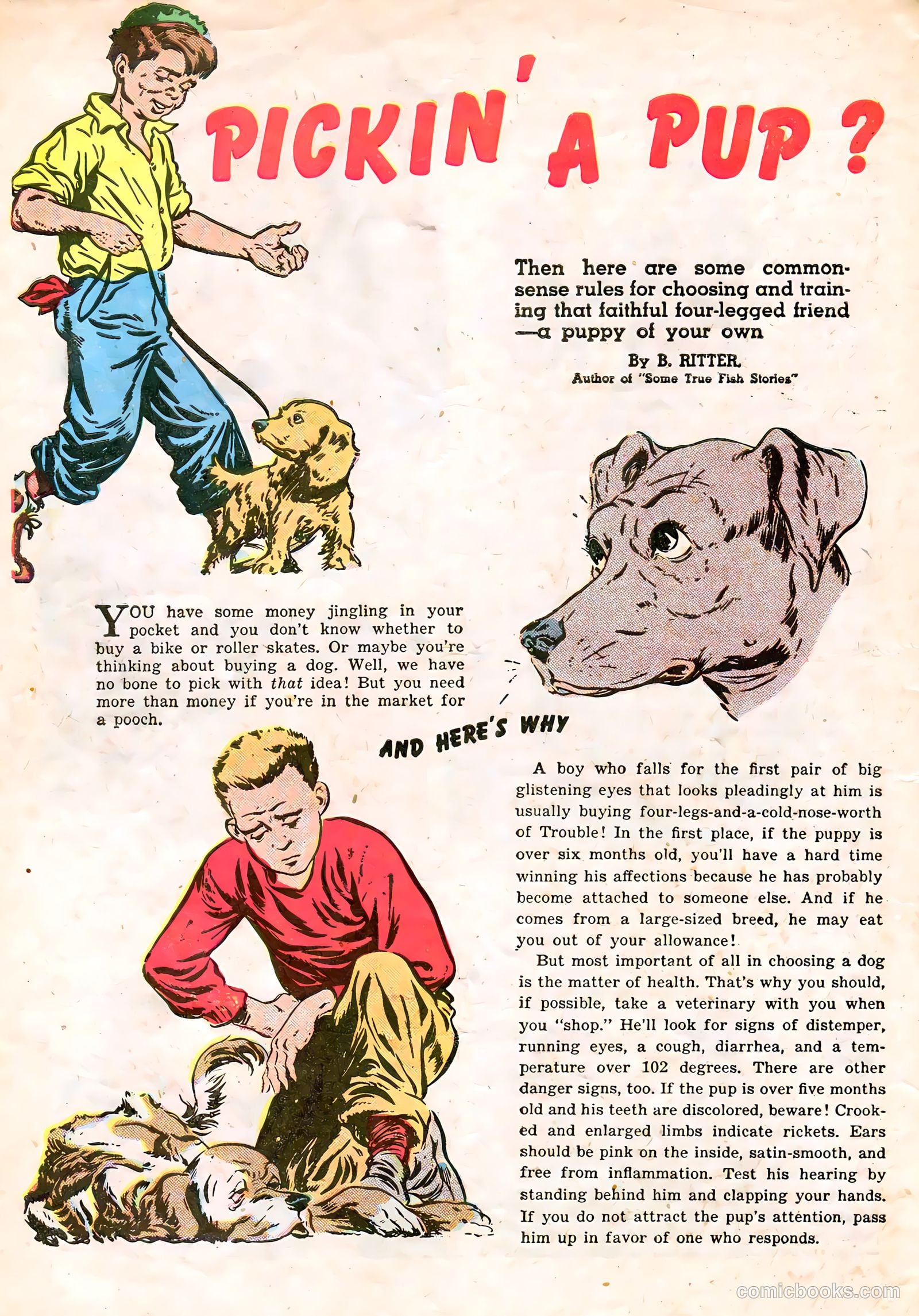 Calling All Boys #17 (1948) — page 10