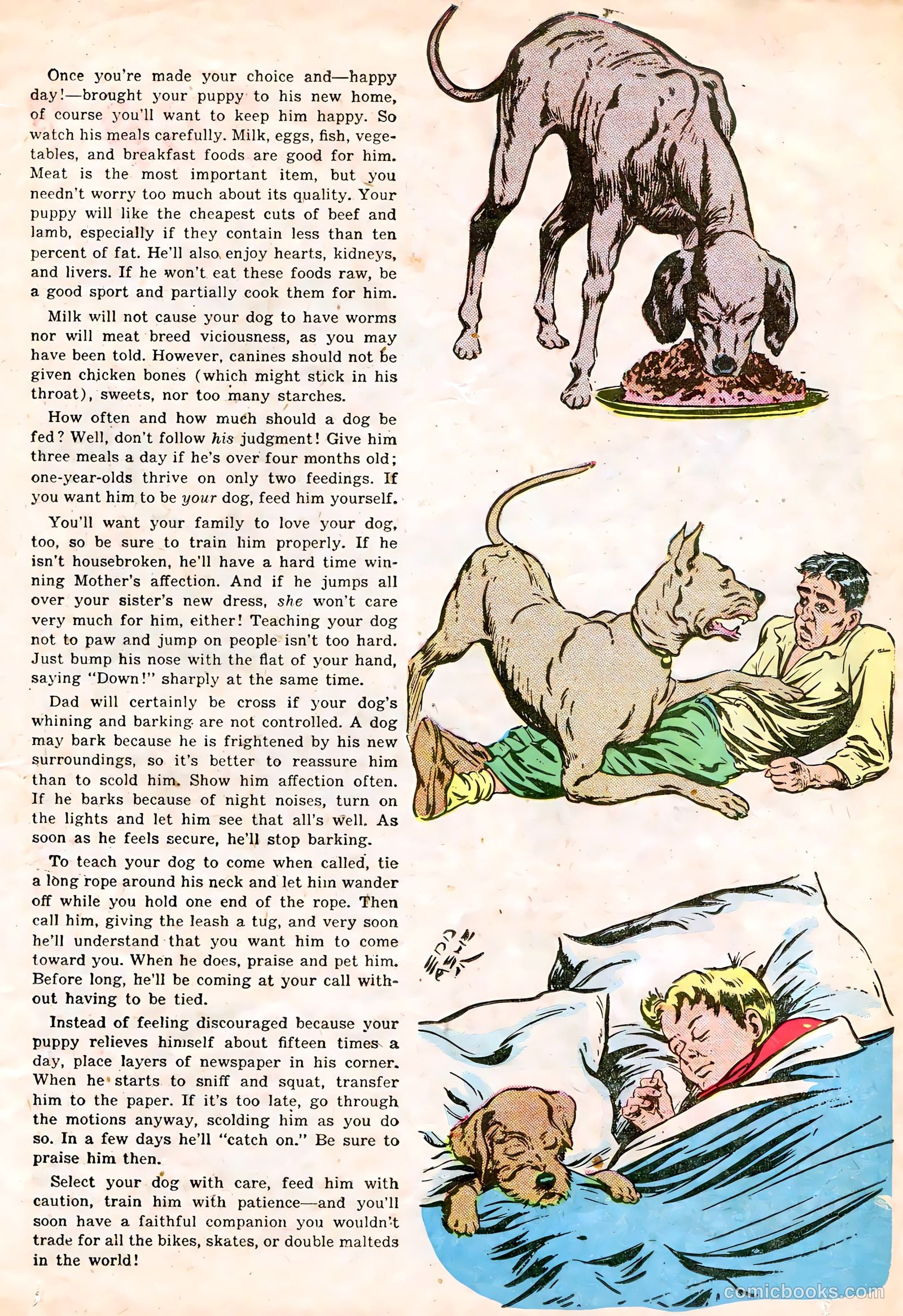 Calling All Boys #17 (1948) — page 11