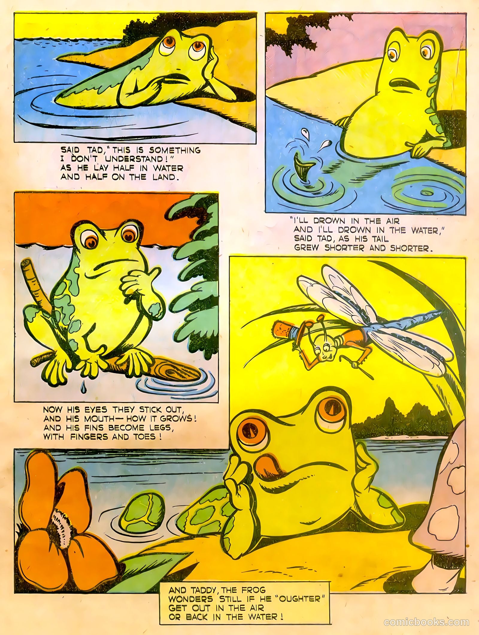 Calling All Kids #11 (1947) — page 33
