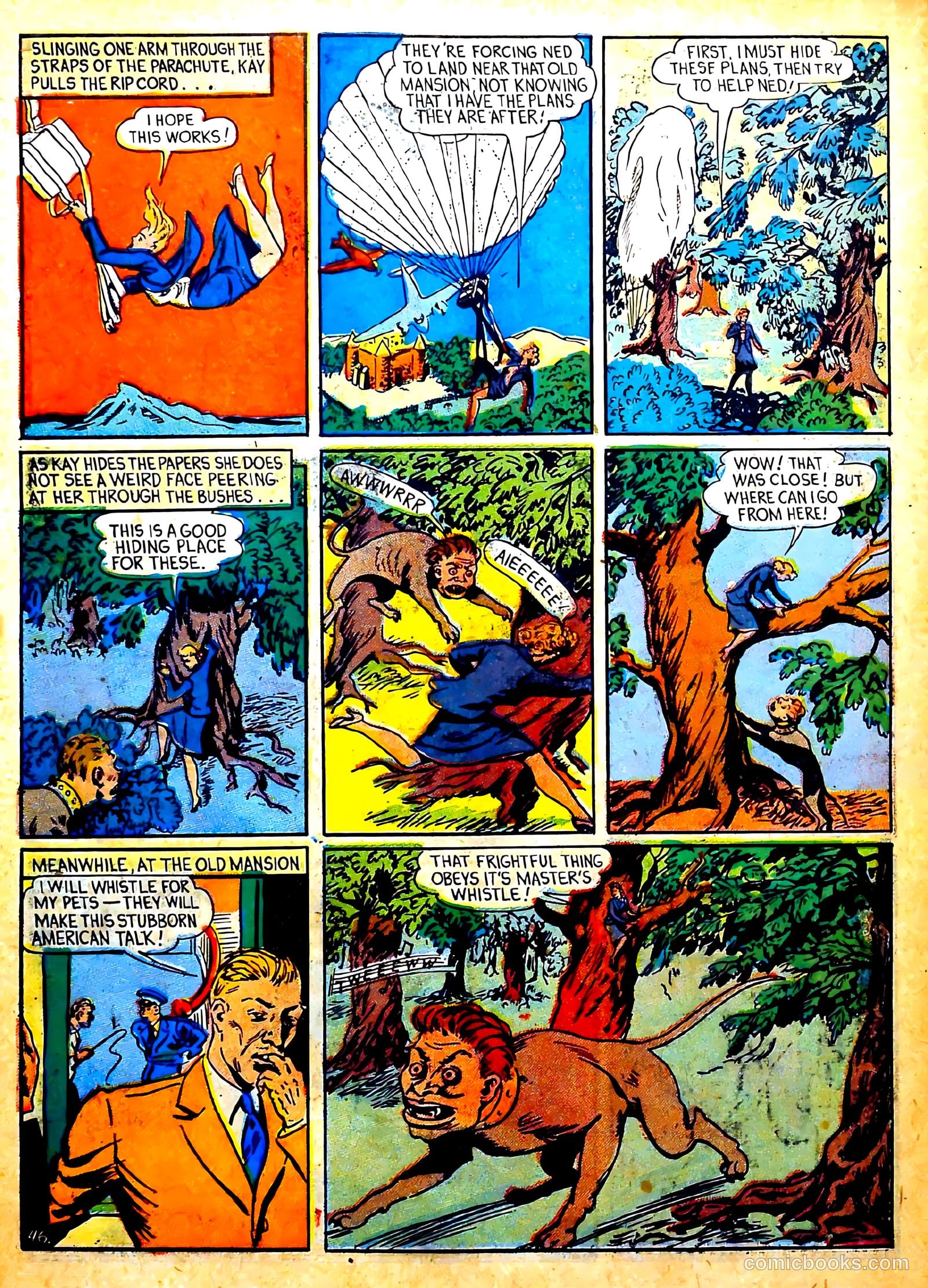 Captain Courageous Comics #6 (1942) — page 48